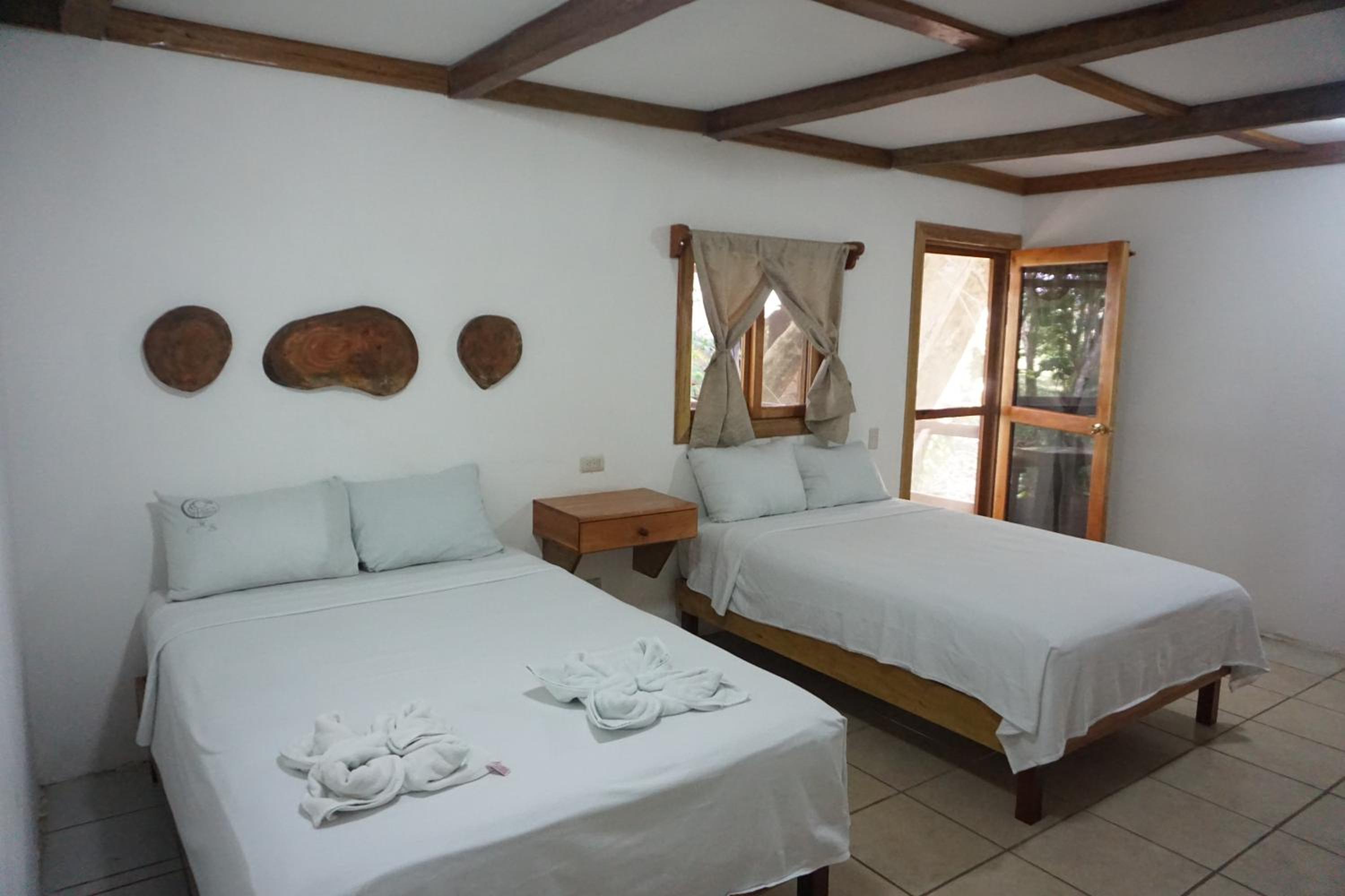 Twin Room - Photo 15