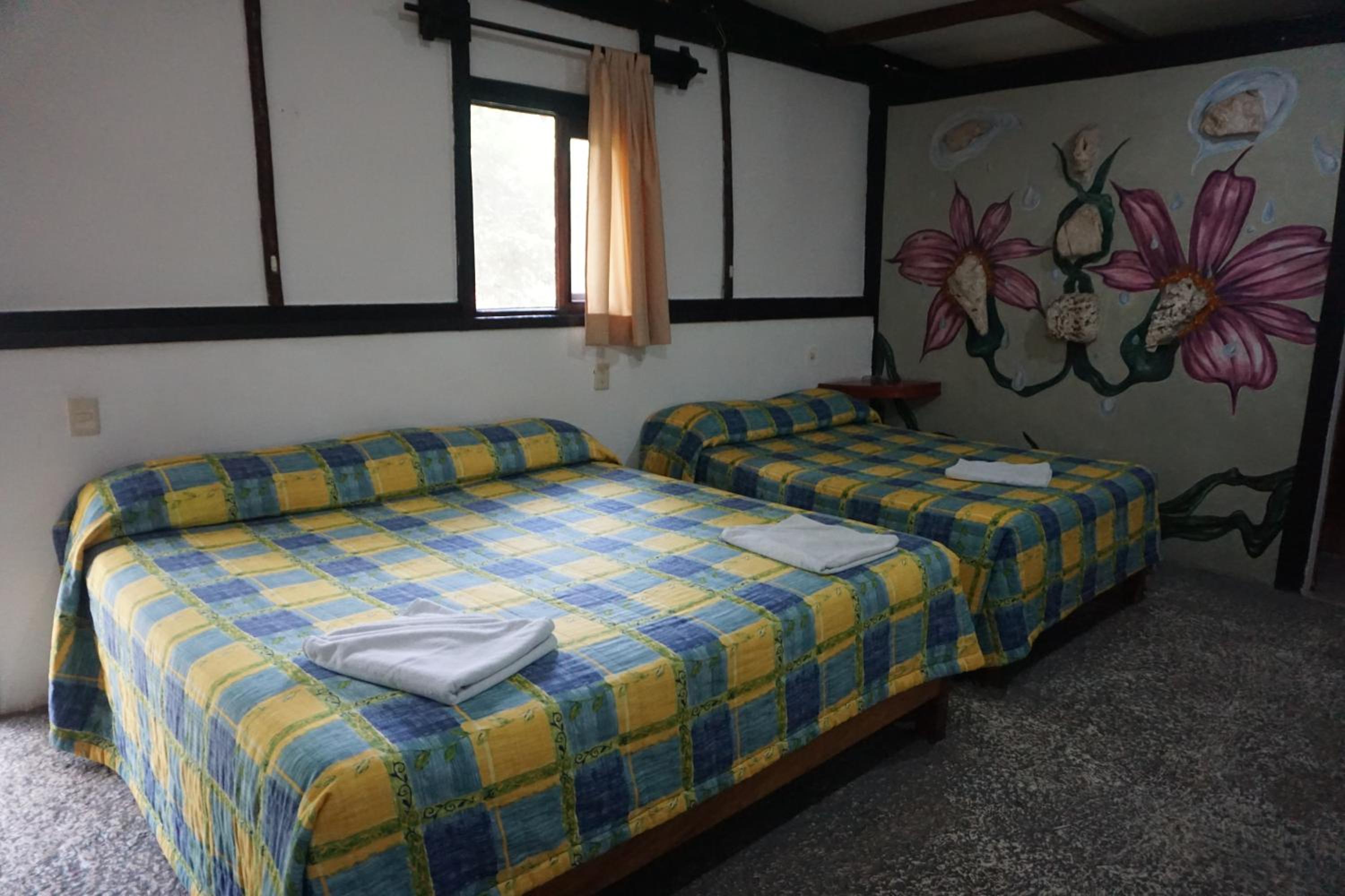 Twin Room - Photo 4