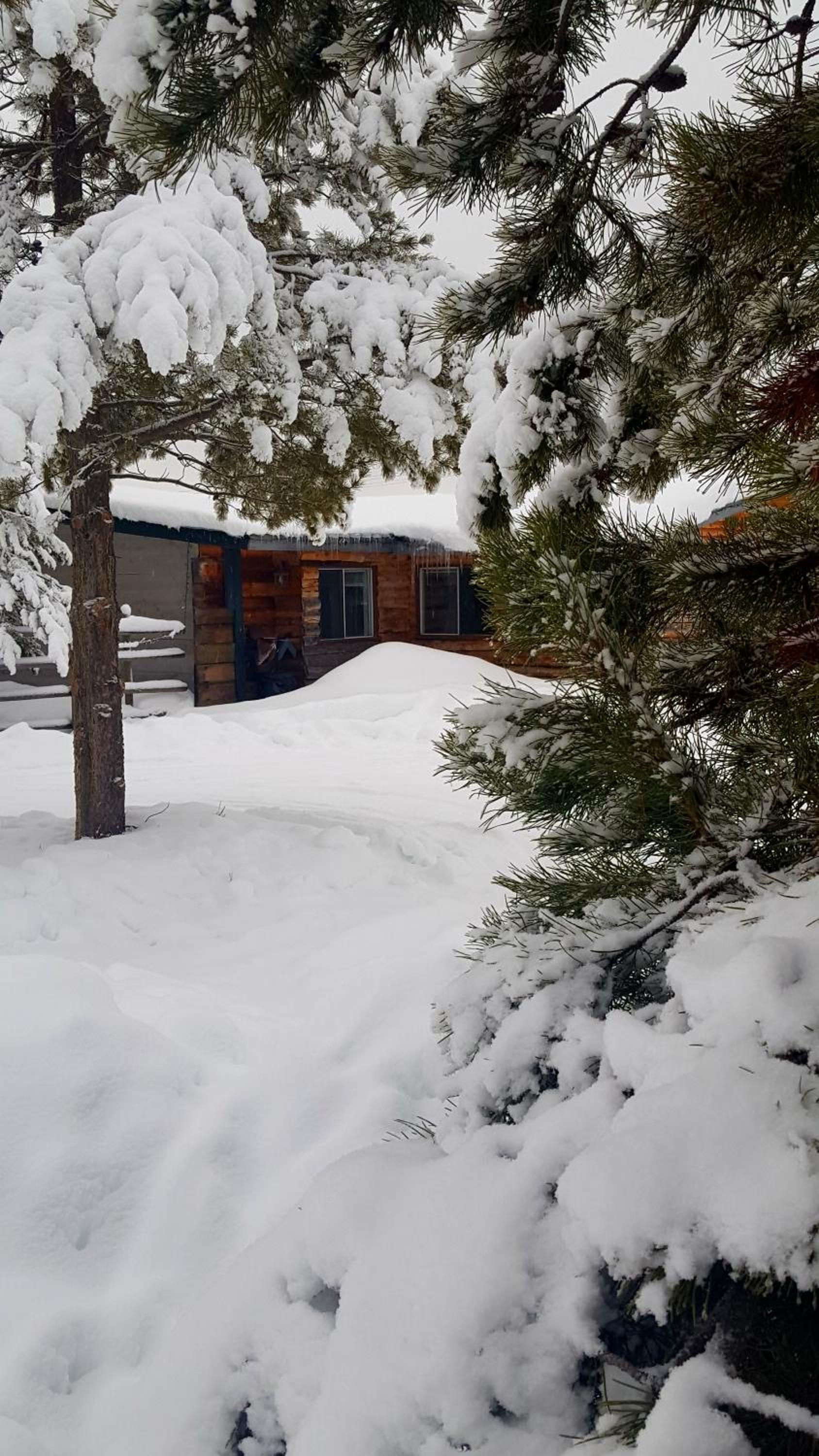 Standard Cottage photo 2