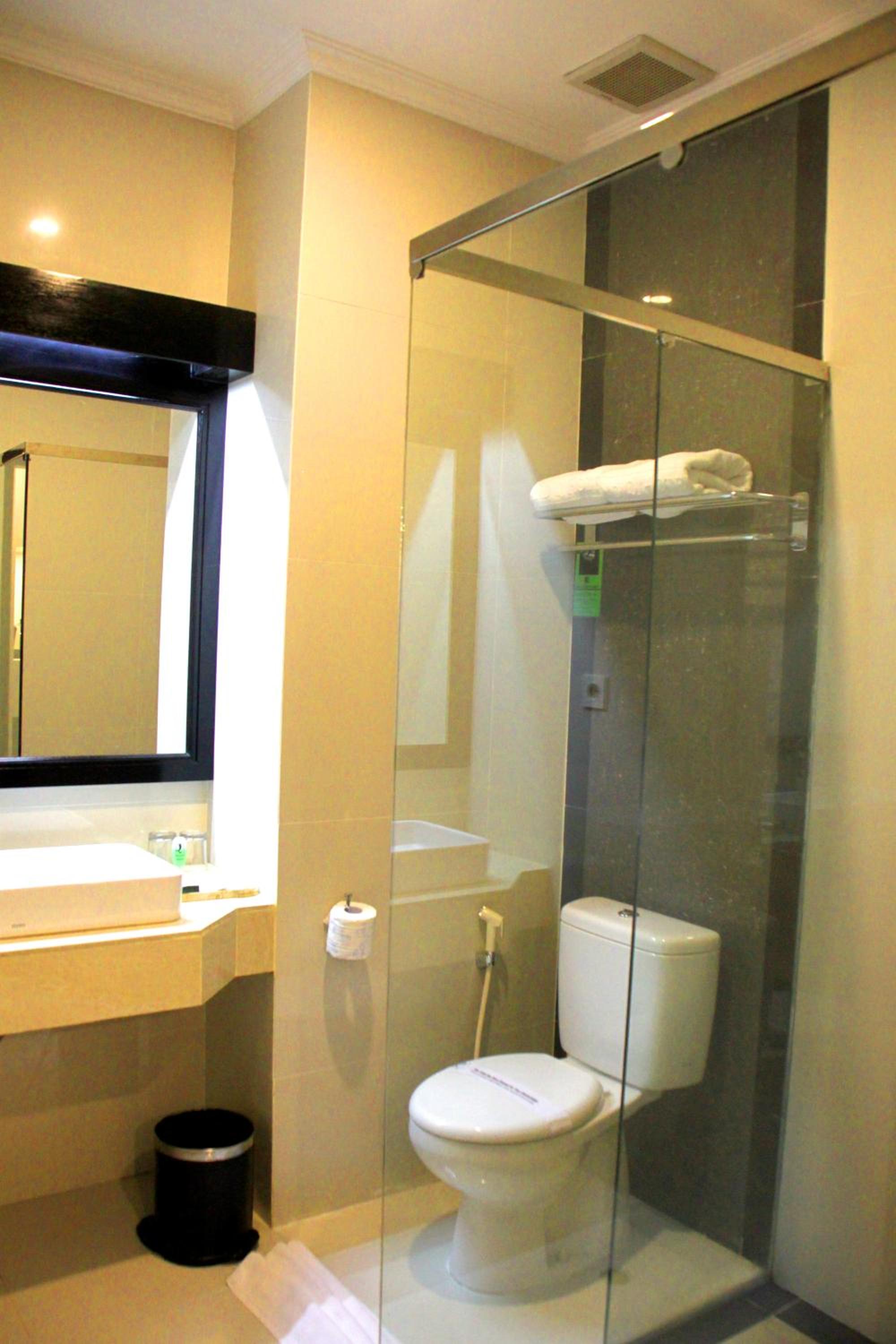 Deluxe Double Room photo 2