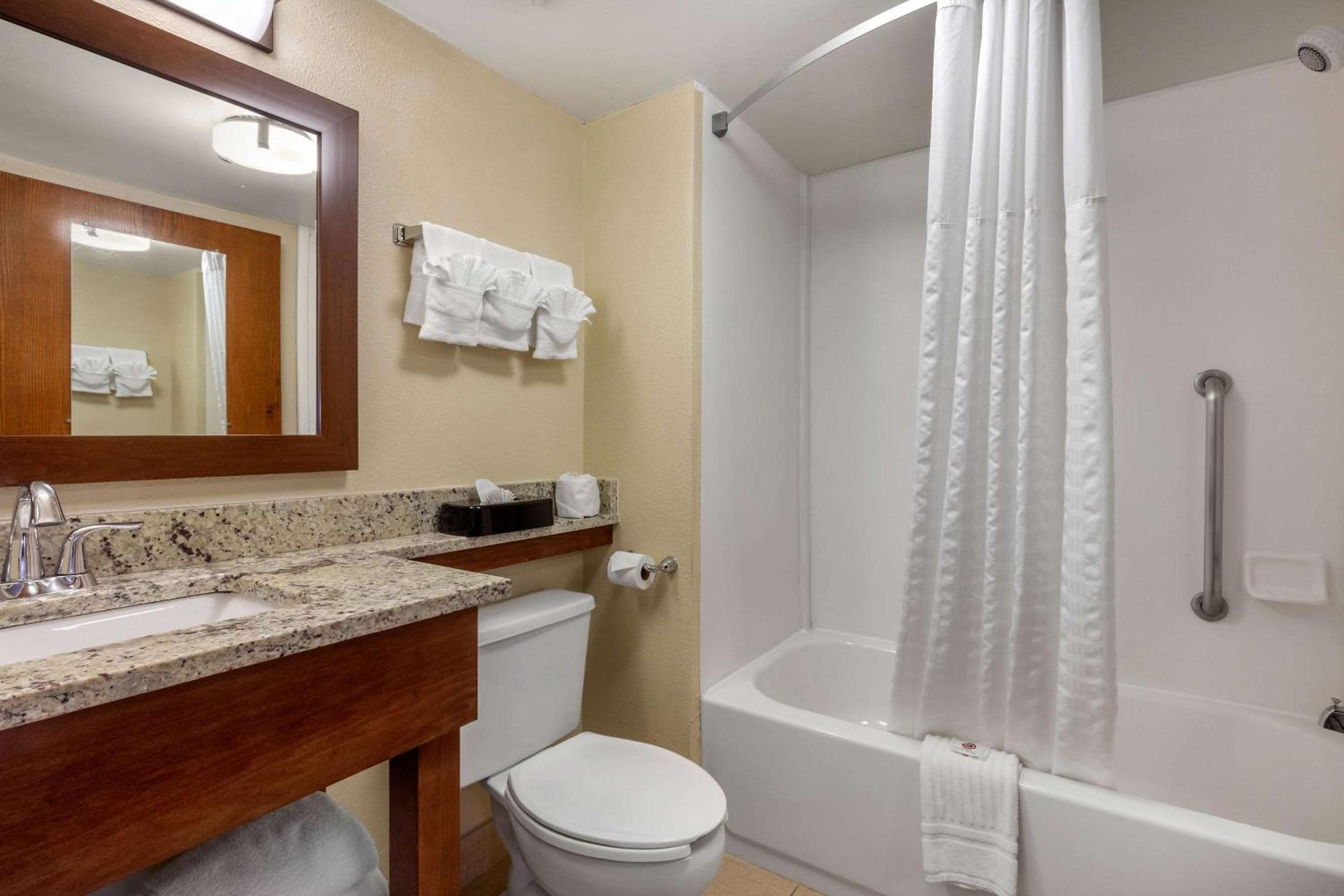 King Suite - Non-Smoking - Photo 4