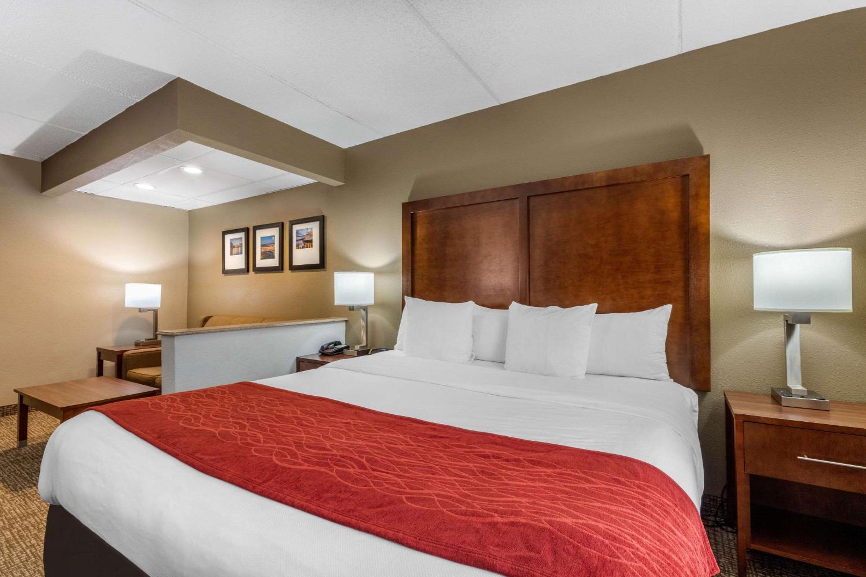 King Suite - Non-Smoking - Photo 5