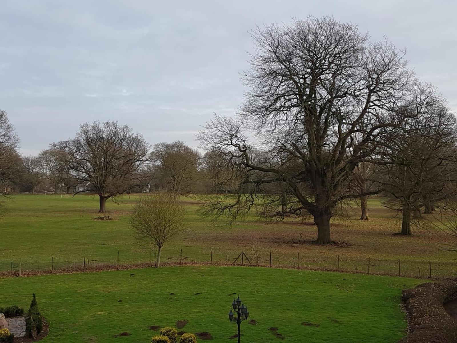 Double Room with View - Photo 3