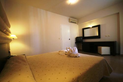 Standard Double or Twin Room photo 2