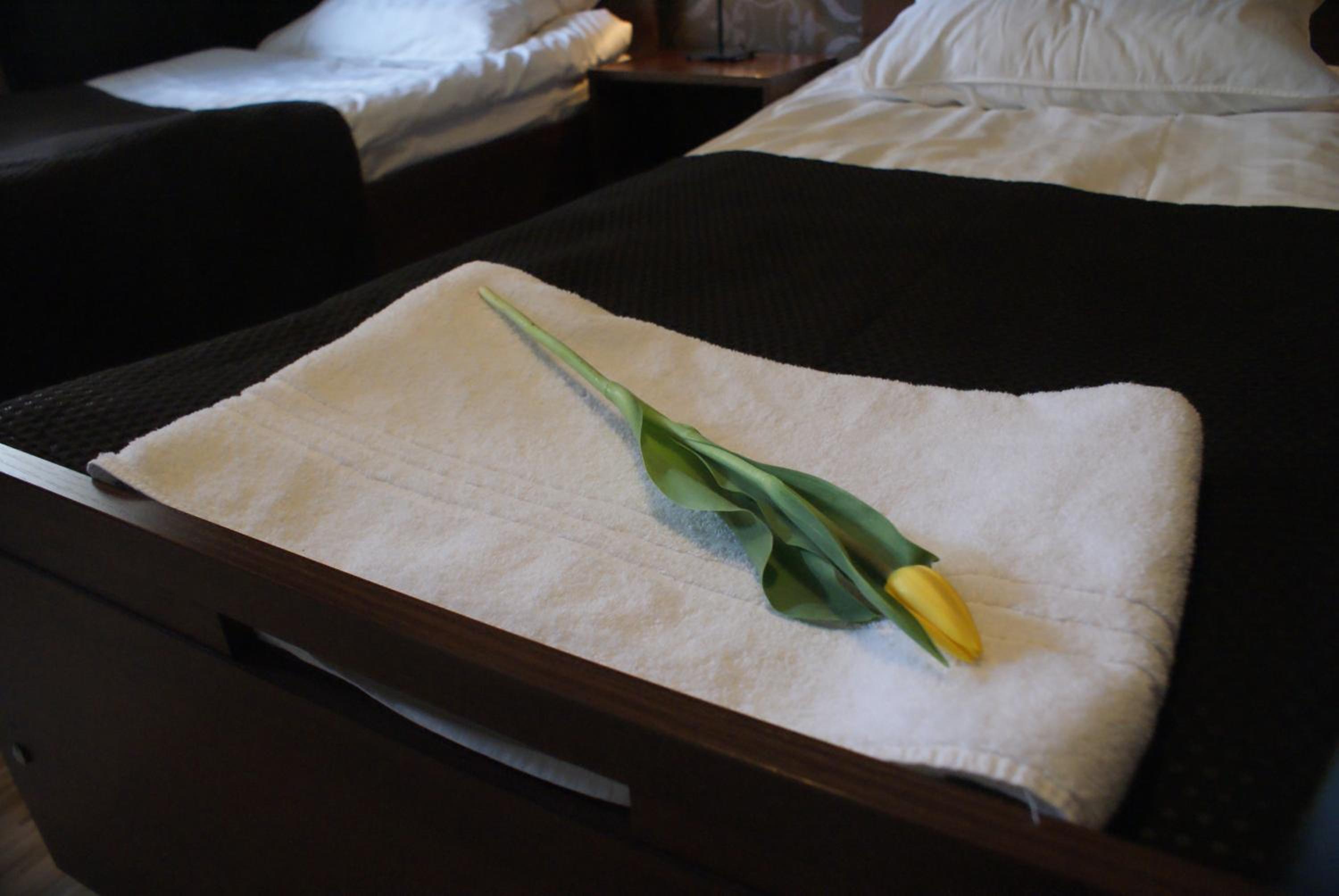 Comfort Quadruple Room - Photo 6