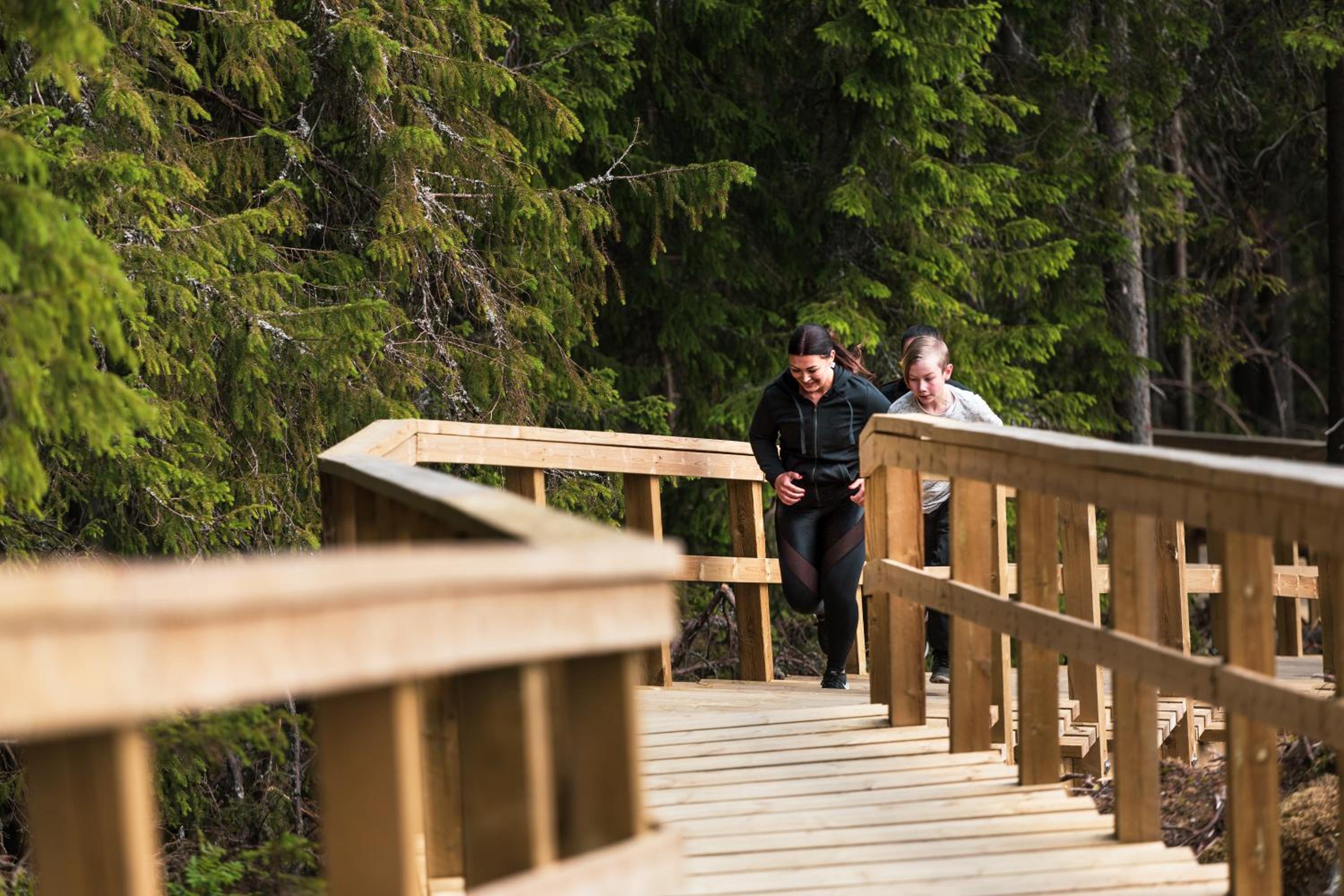 Four-Bedroom Villa with Sauna (8 Adults) photo 3