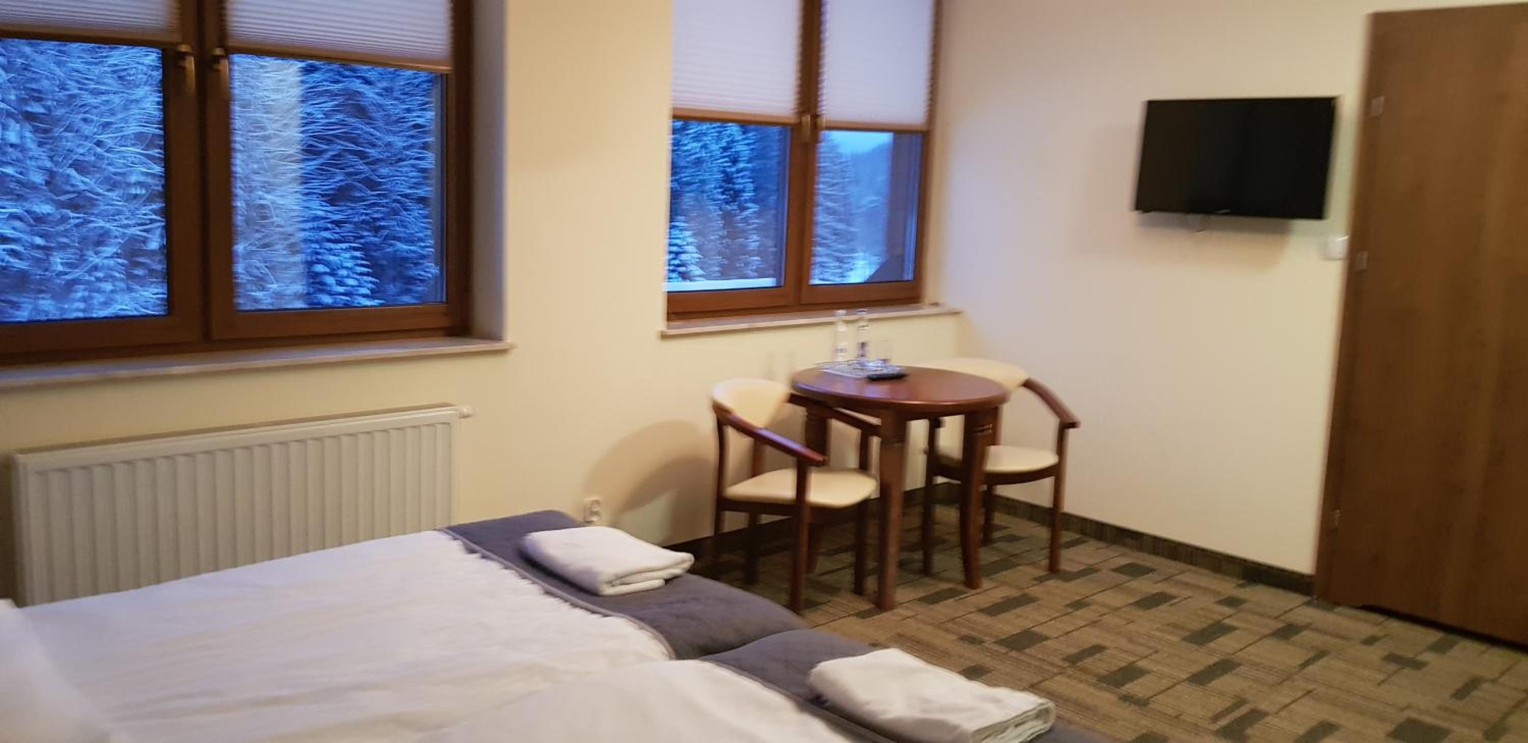 Double or Twin Room photo 3