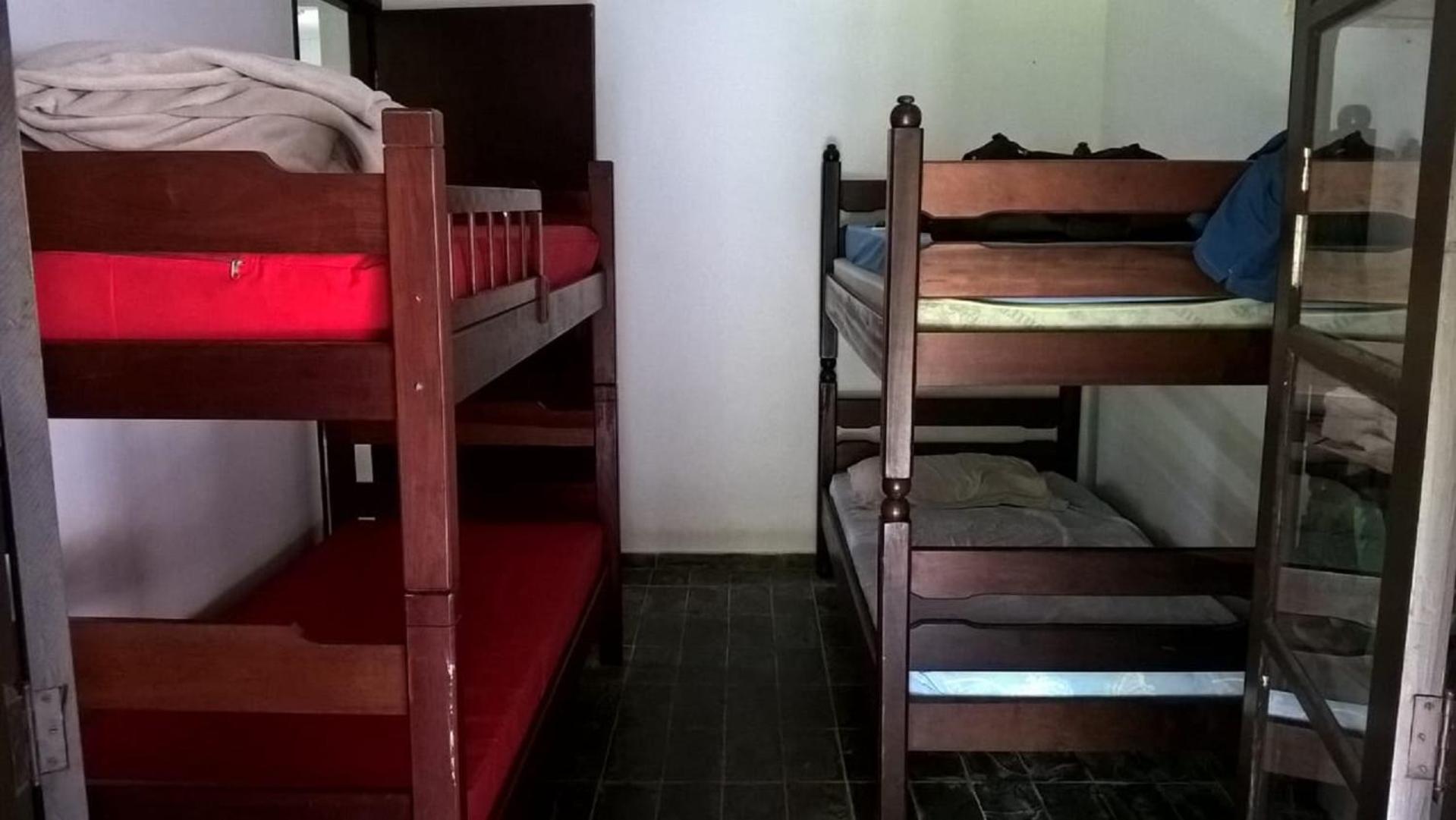 Bunk Bed In Mixed Dormitory Room photo 1
