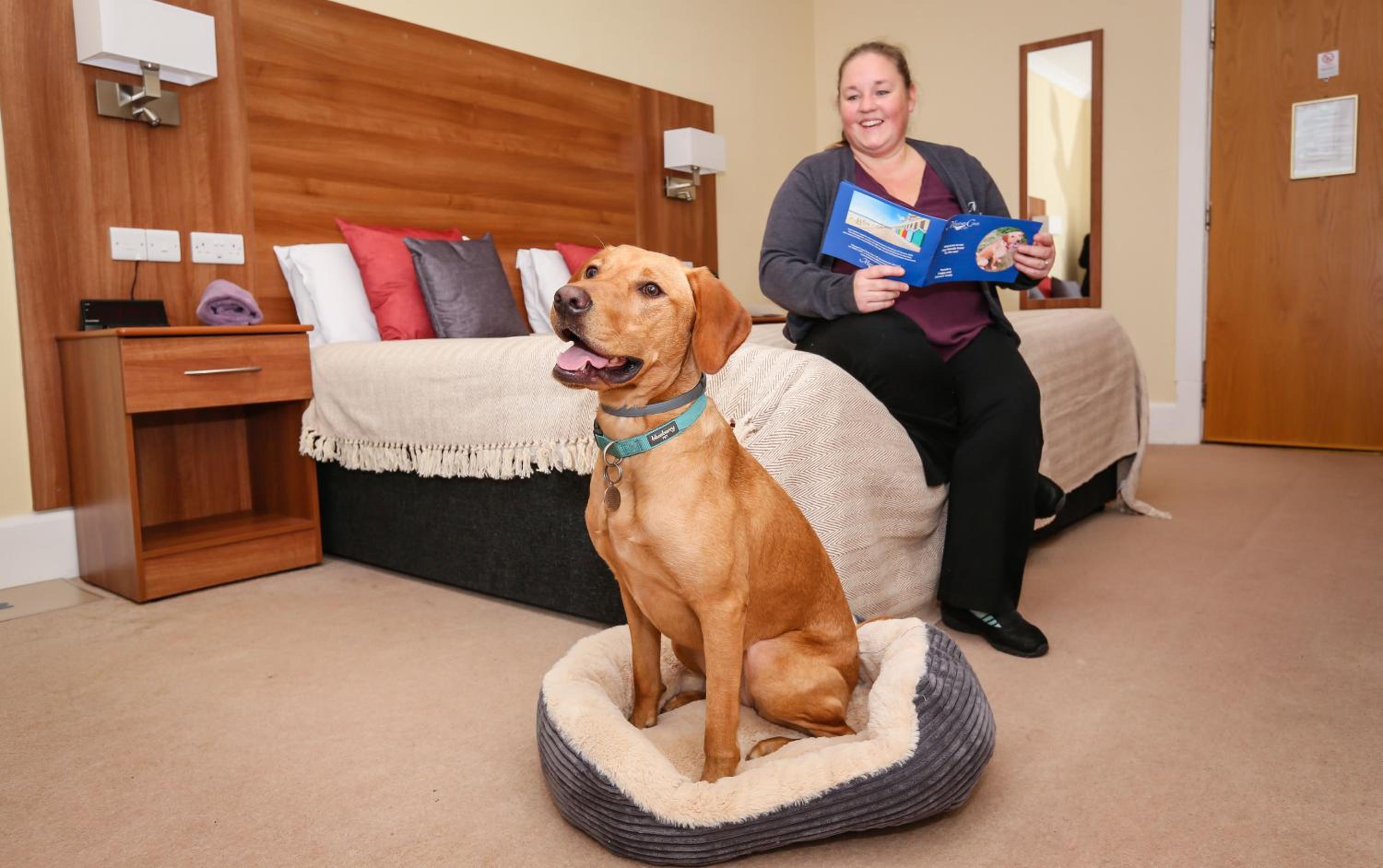 Double or Twin Room - Dog Friendly - Photo 4