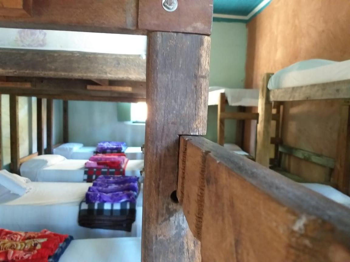 Bunk Bed in Mixed Dormitory Room photo 2