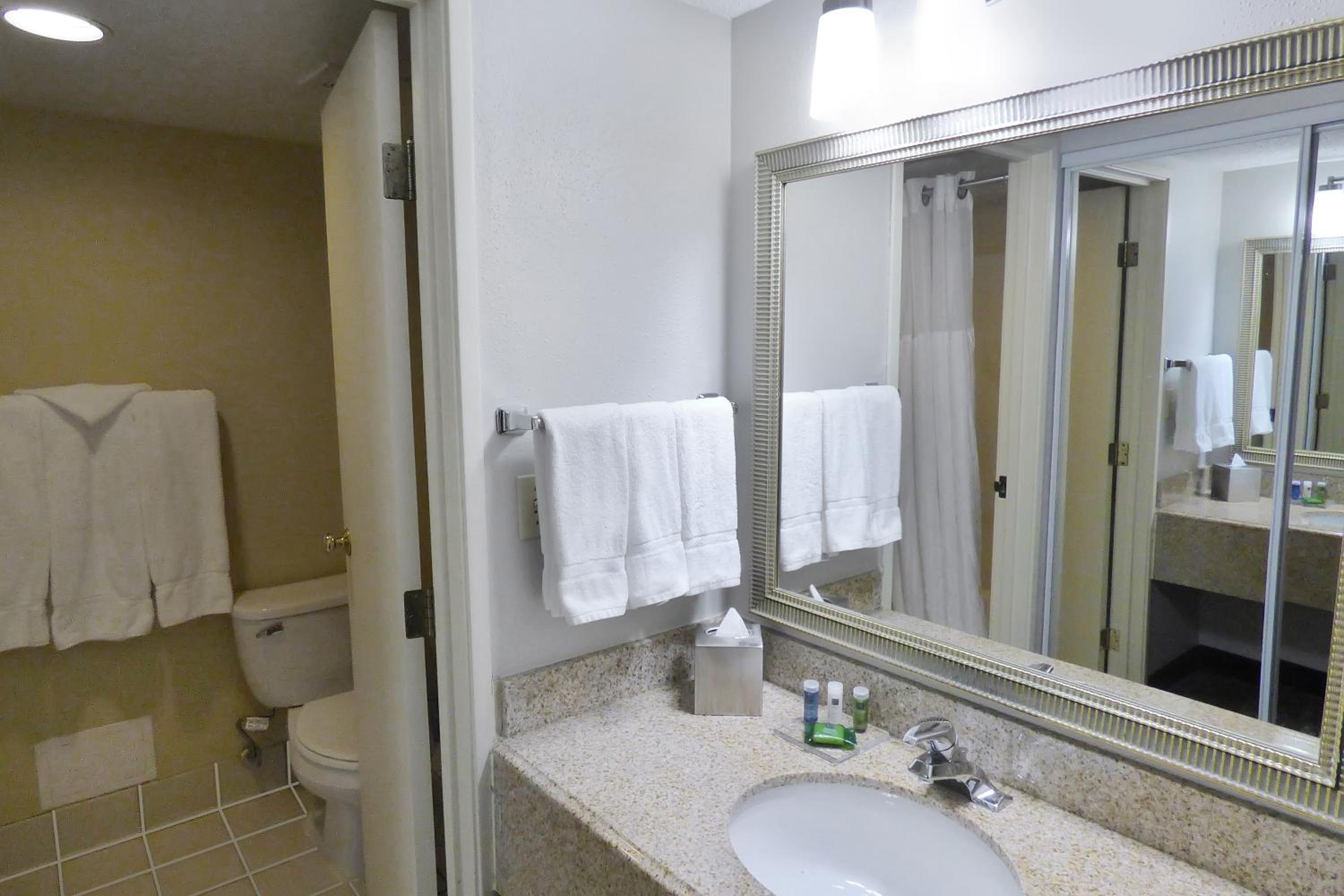 Premium King Room - Photo 3