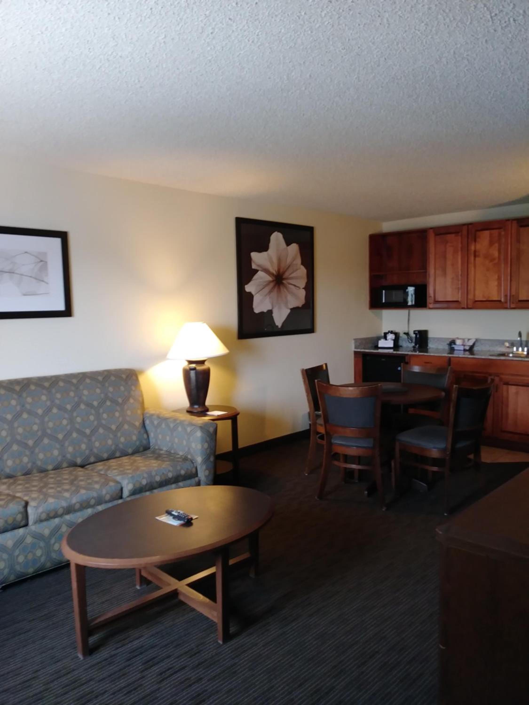 Premier King Suite - Non-Smoking - Photo 15