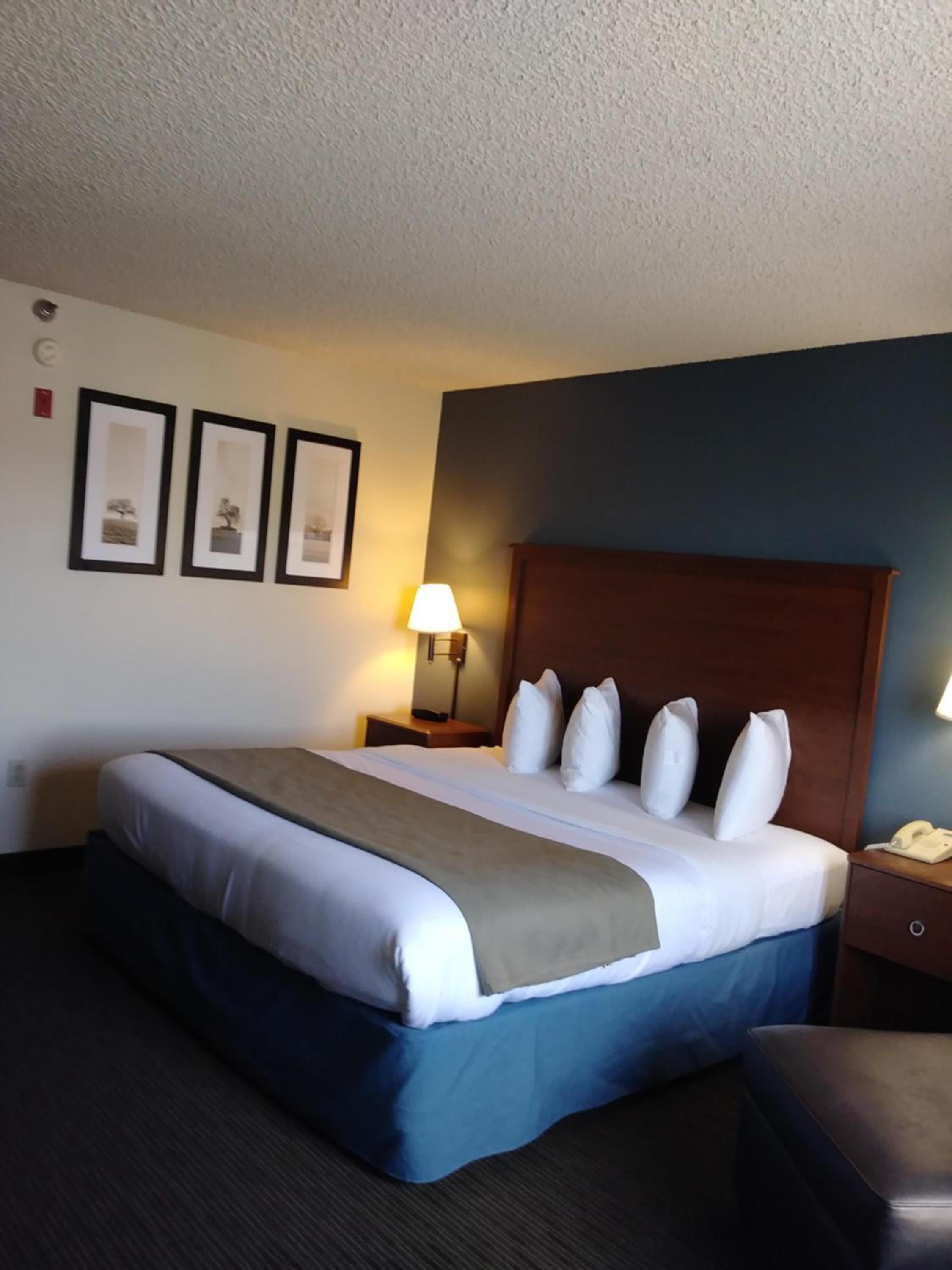 Executive King Room - Non-Smoking - Photo 9