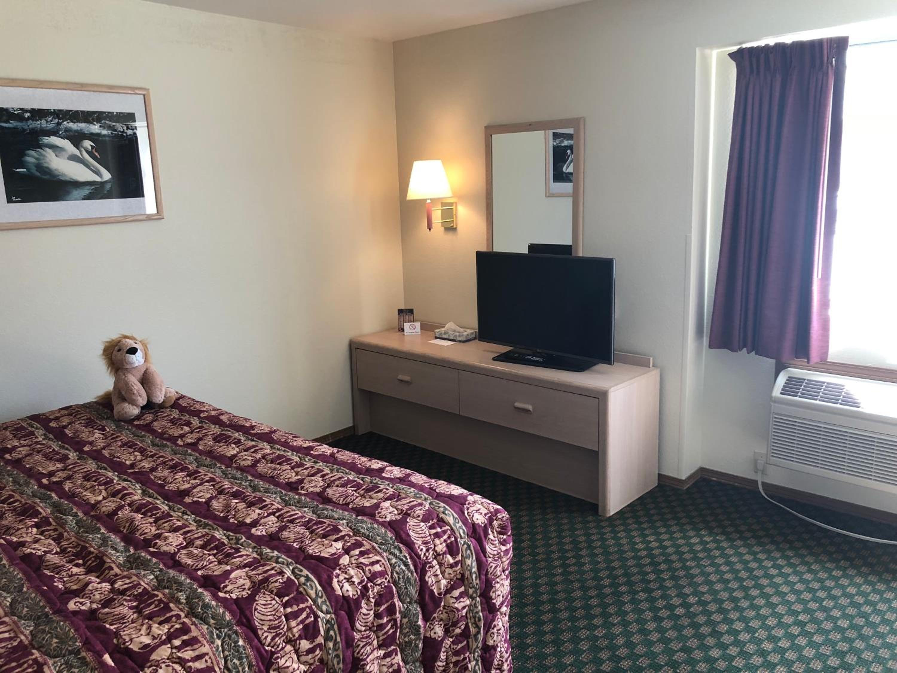 One Bedroom Suite  - Photo 15