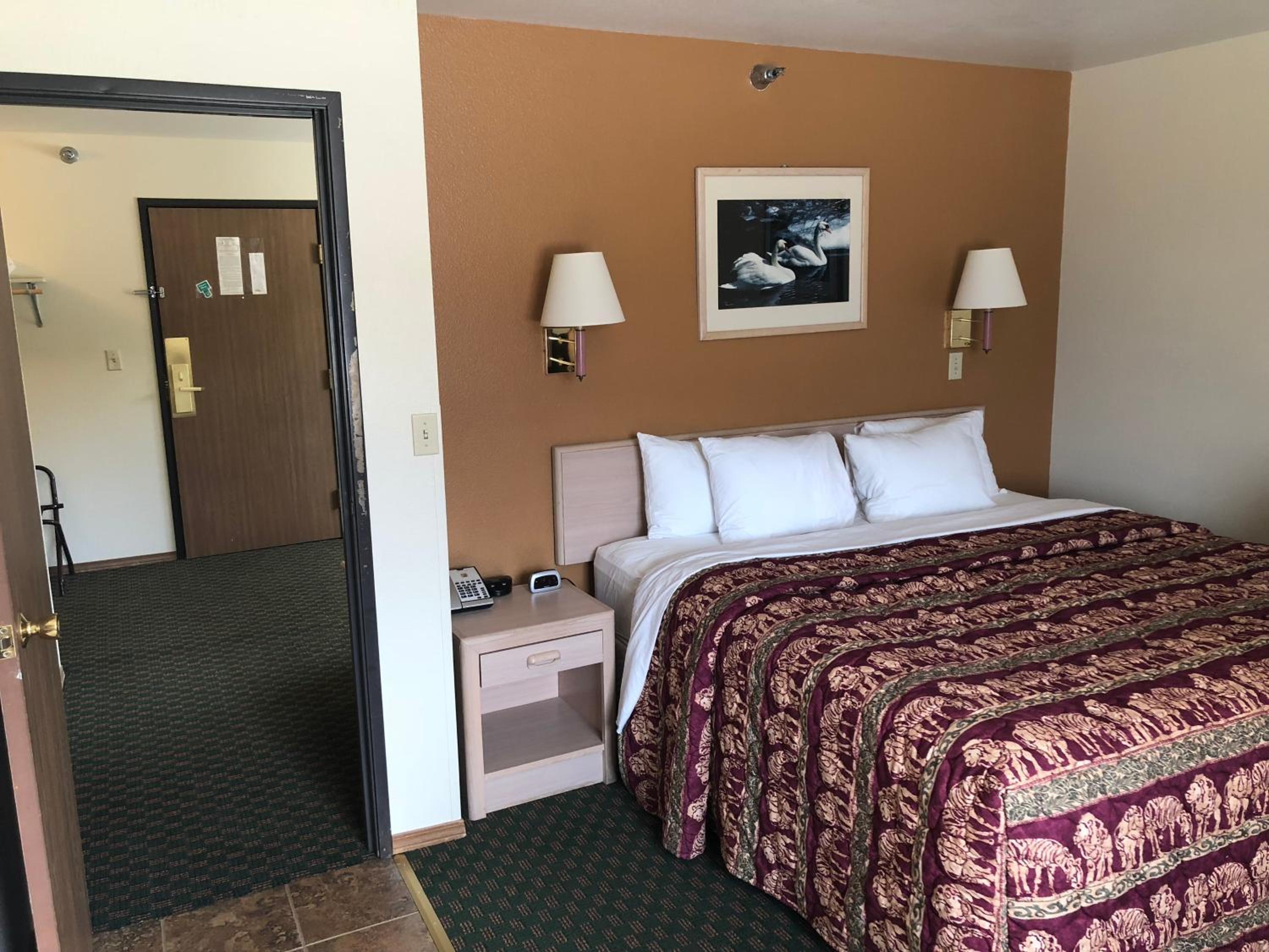One Bedroom Suite  - Photo 2