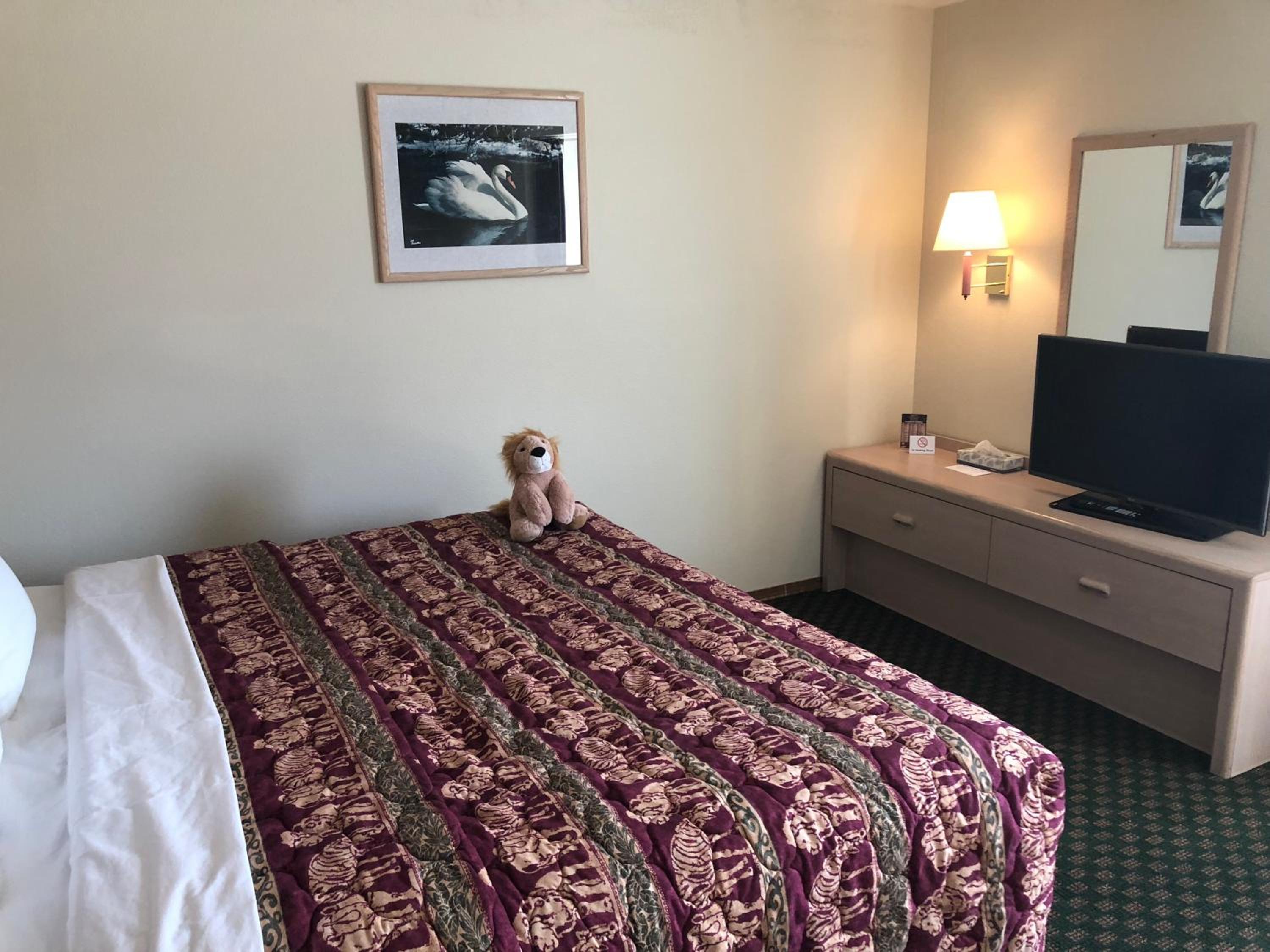 One Bedroom Suite  - Photo 5