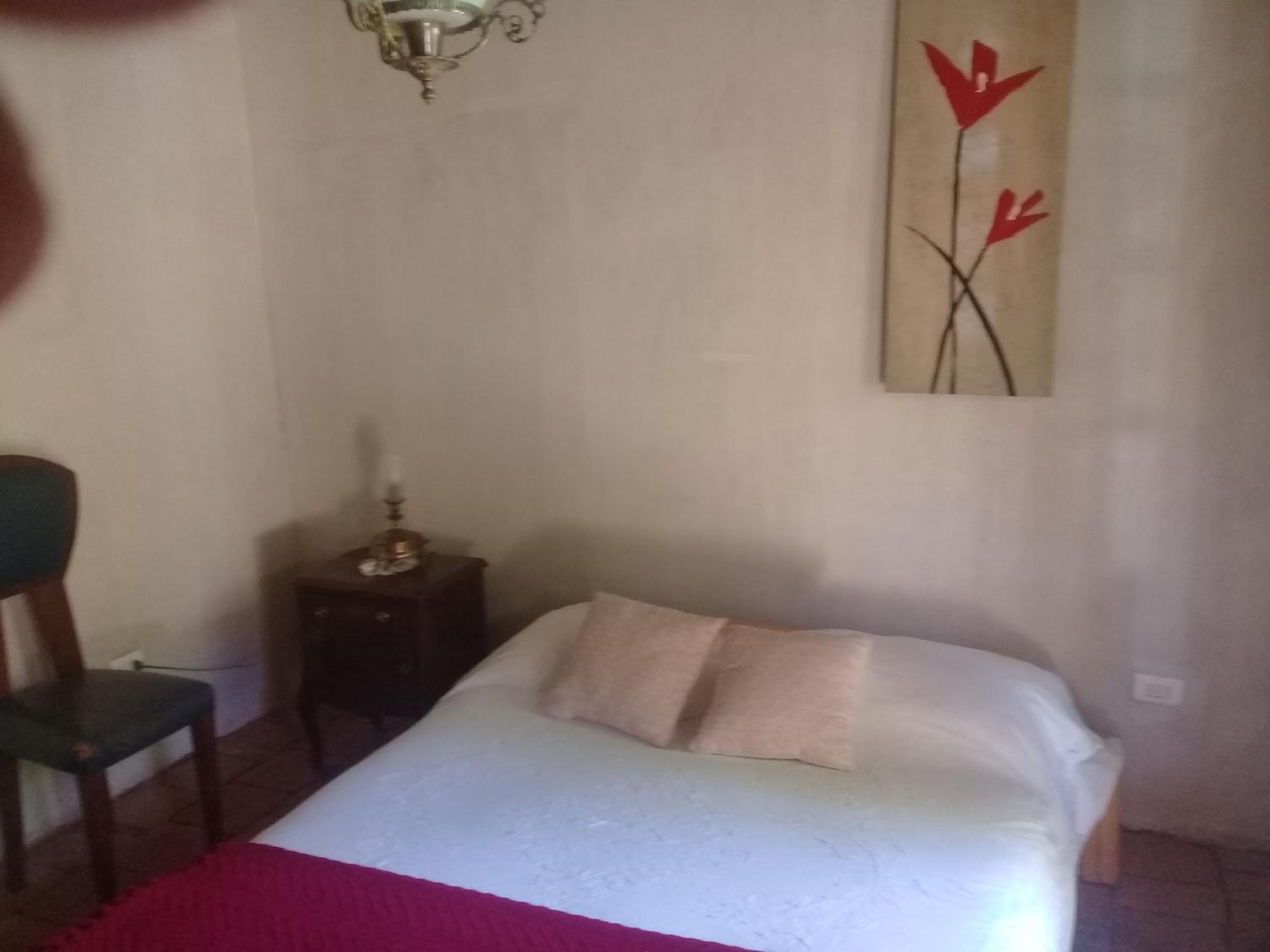 Double Room with Garden View photo 3