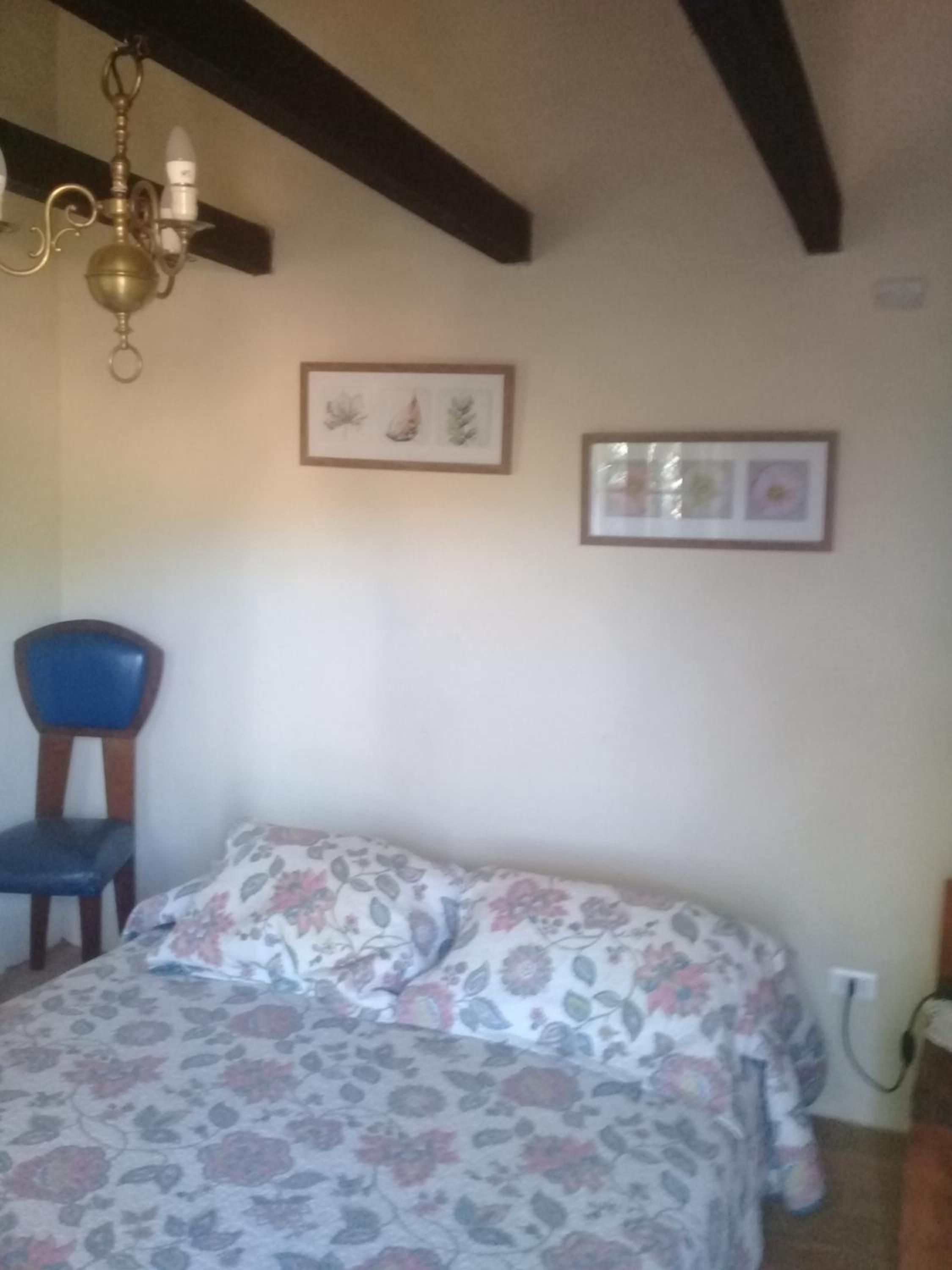 Double Room with Garden View photo 3