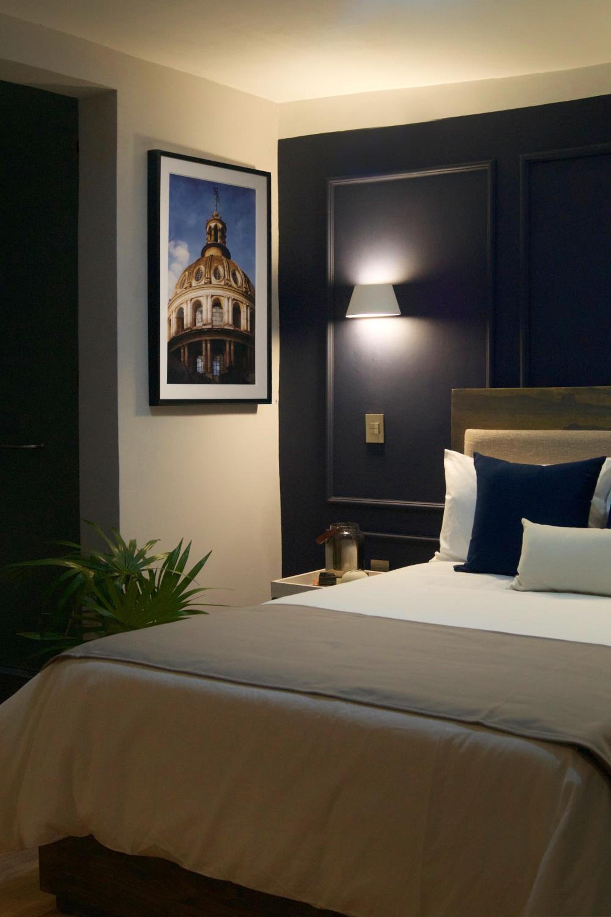 Suite - Photo 6