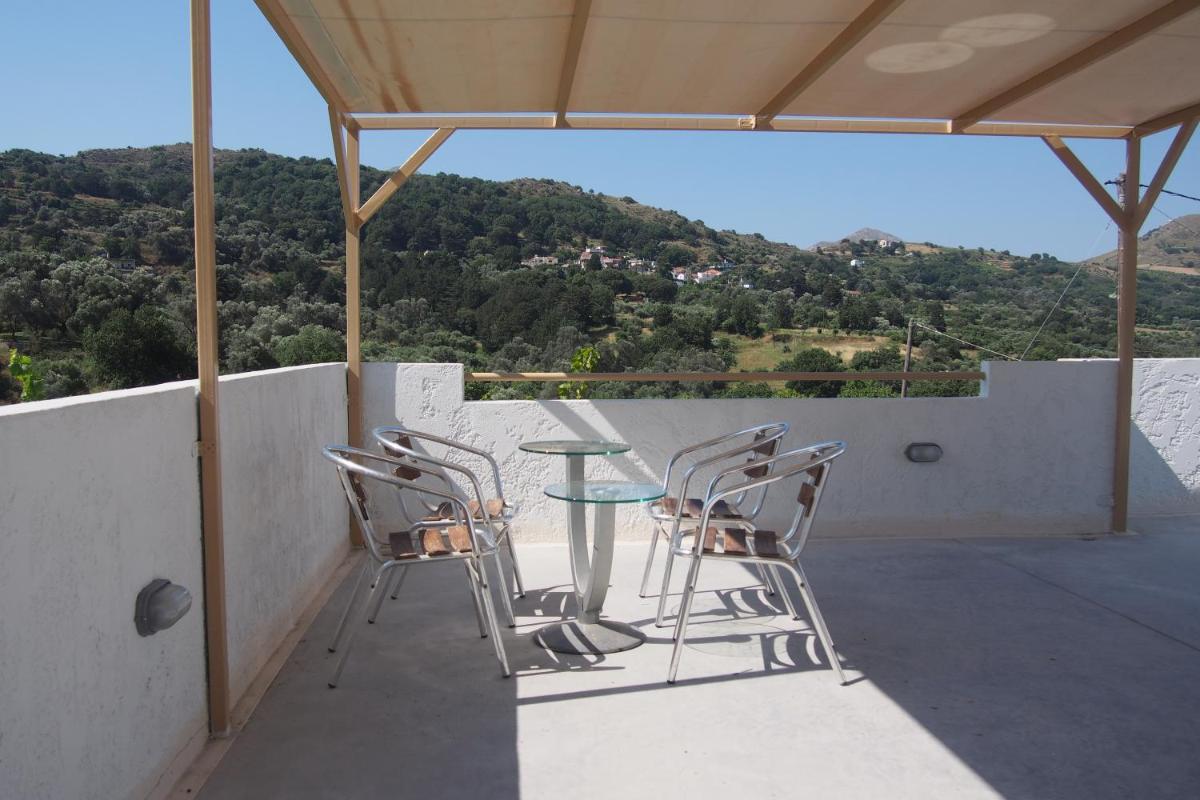 Studio with Terrace photo 1