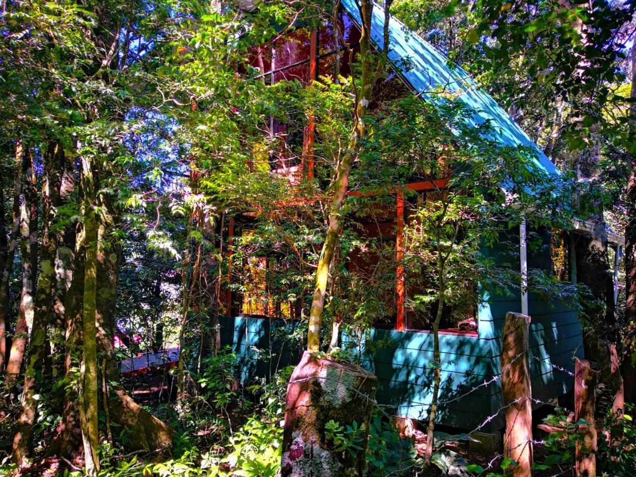 Chalet photo 3