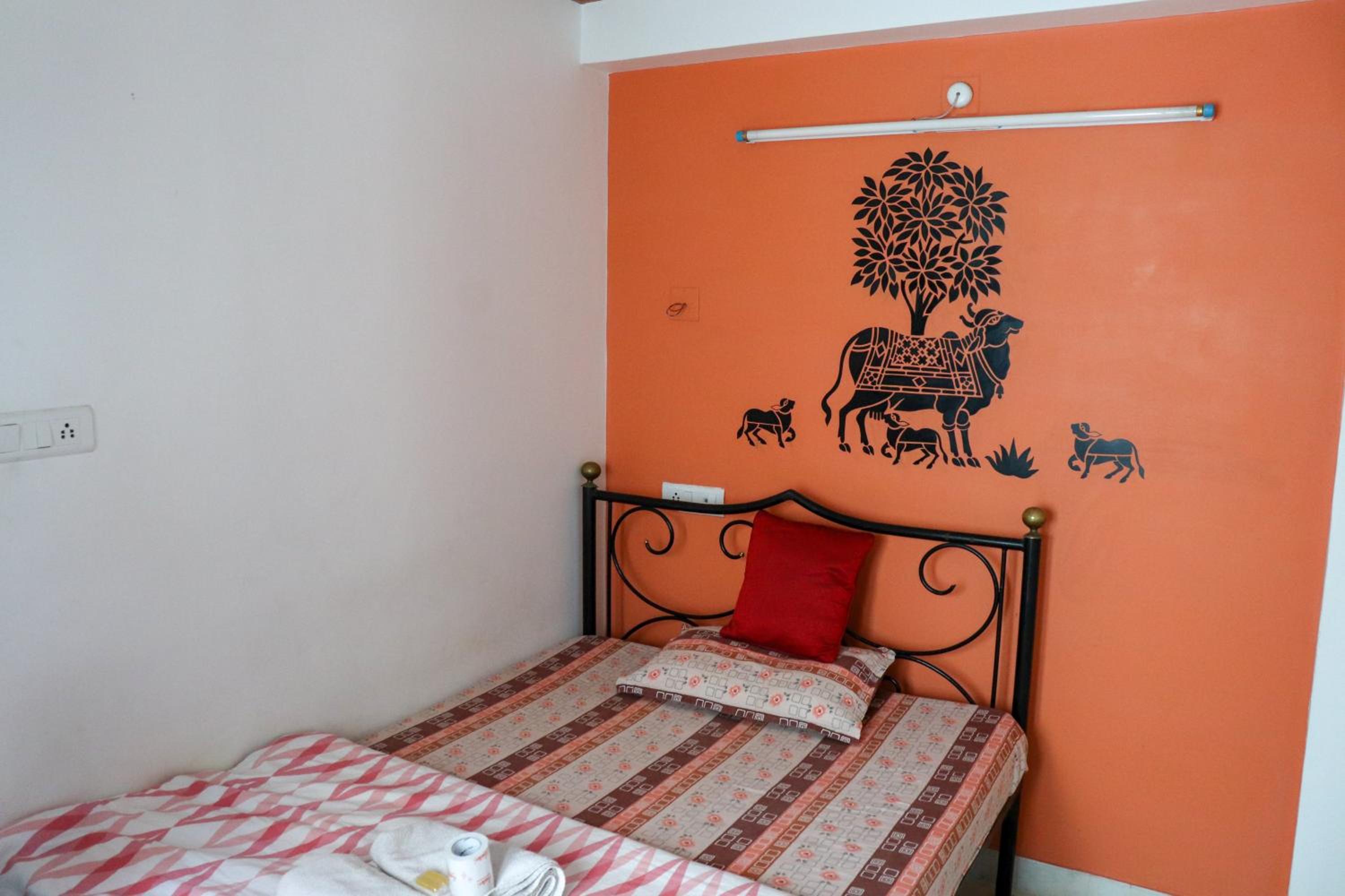 Single Room photo 1