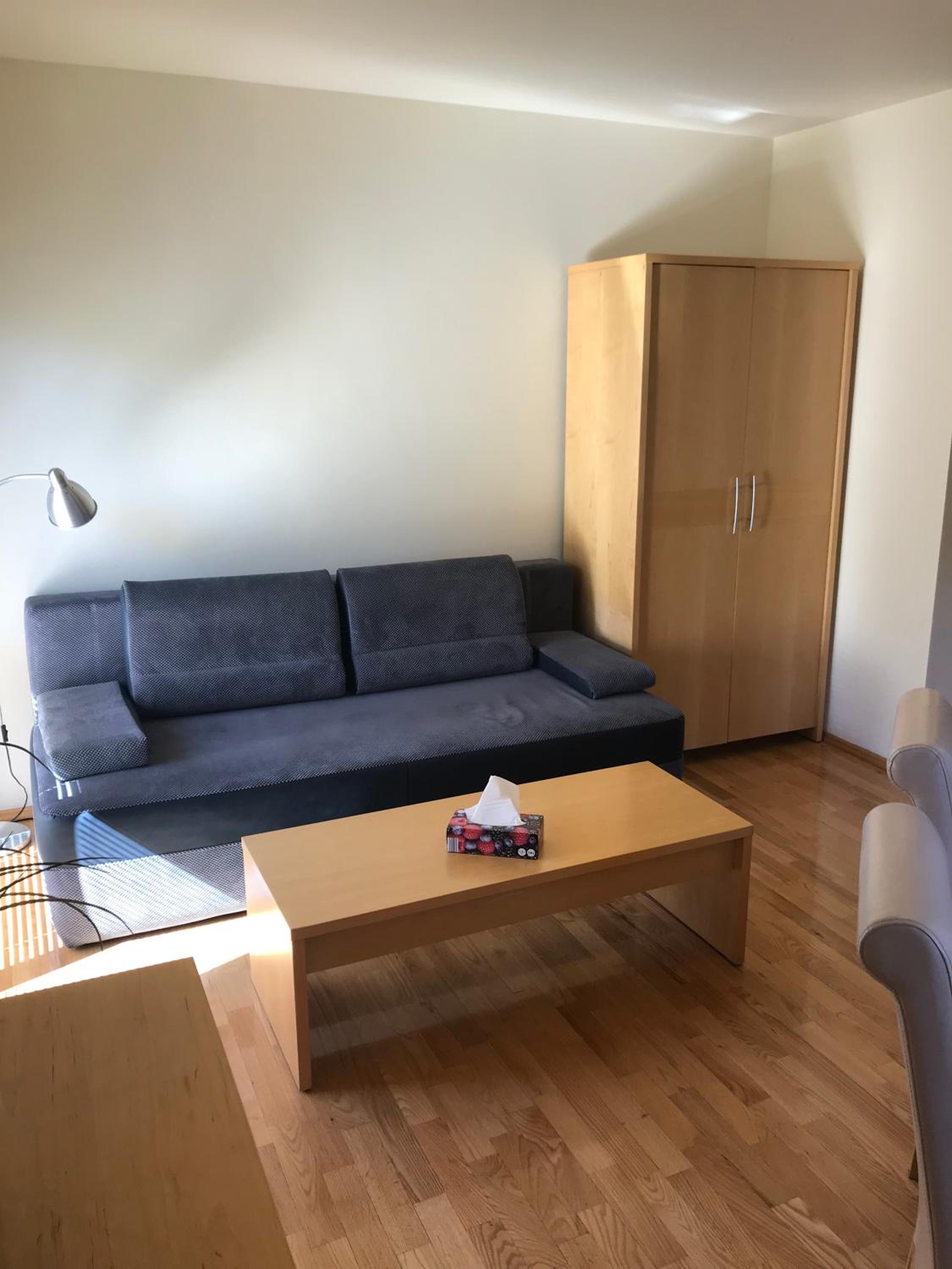 One-Bedroom Apartment photo 3