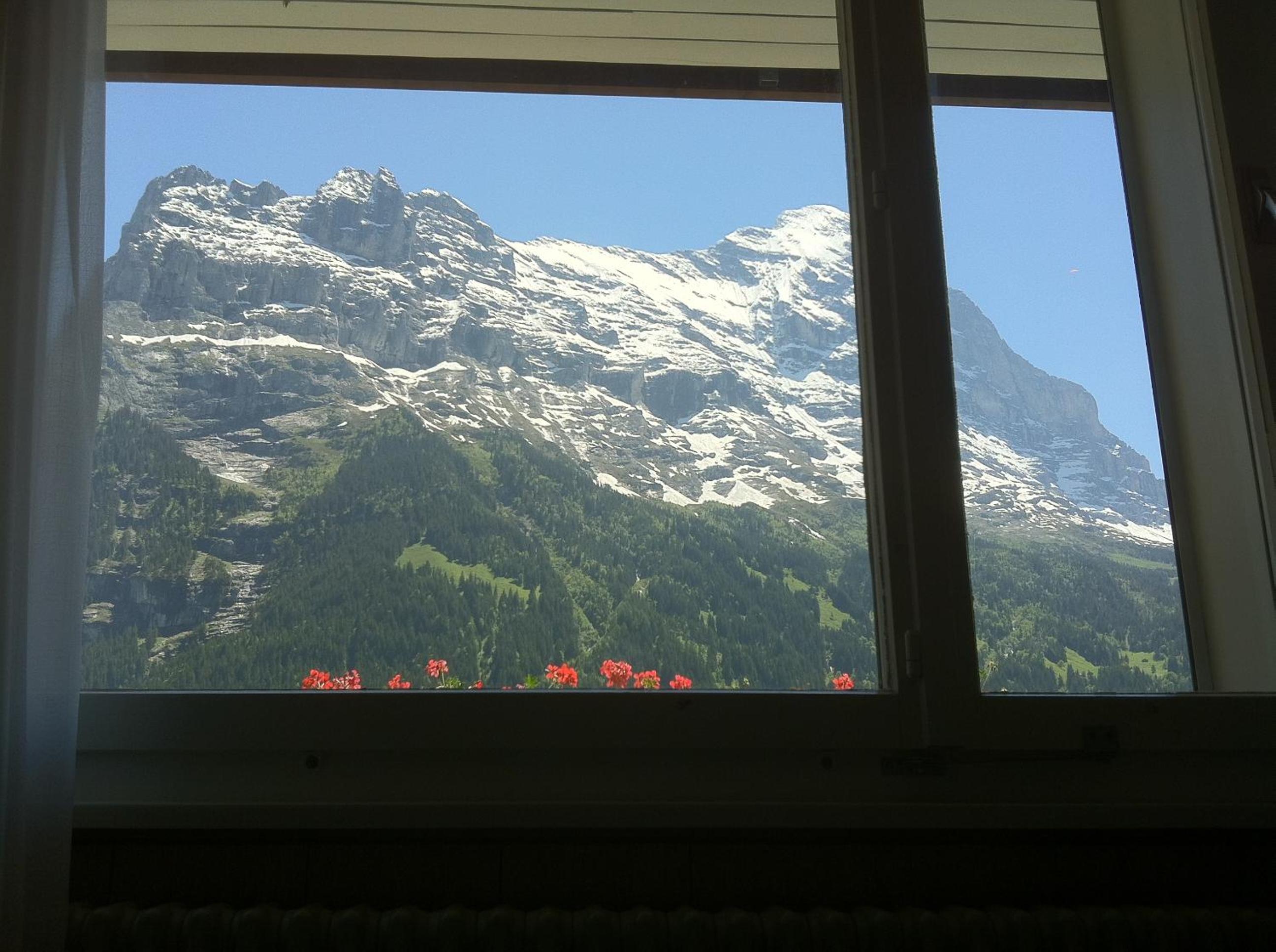 Superior Double Room with Eiger View - Photo 8