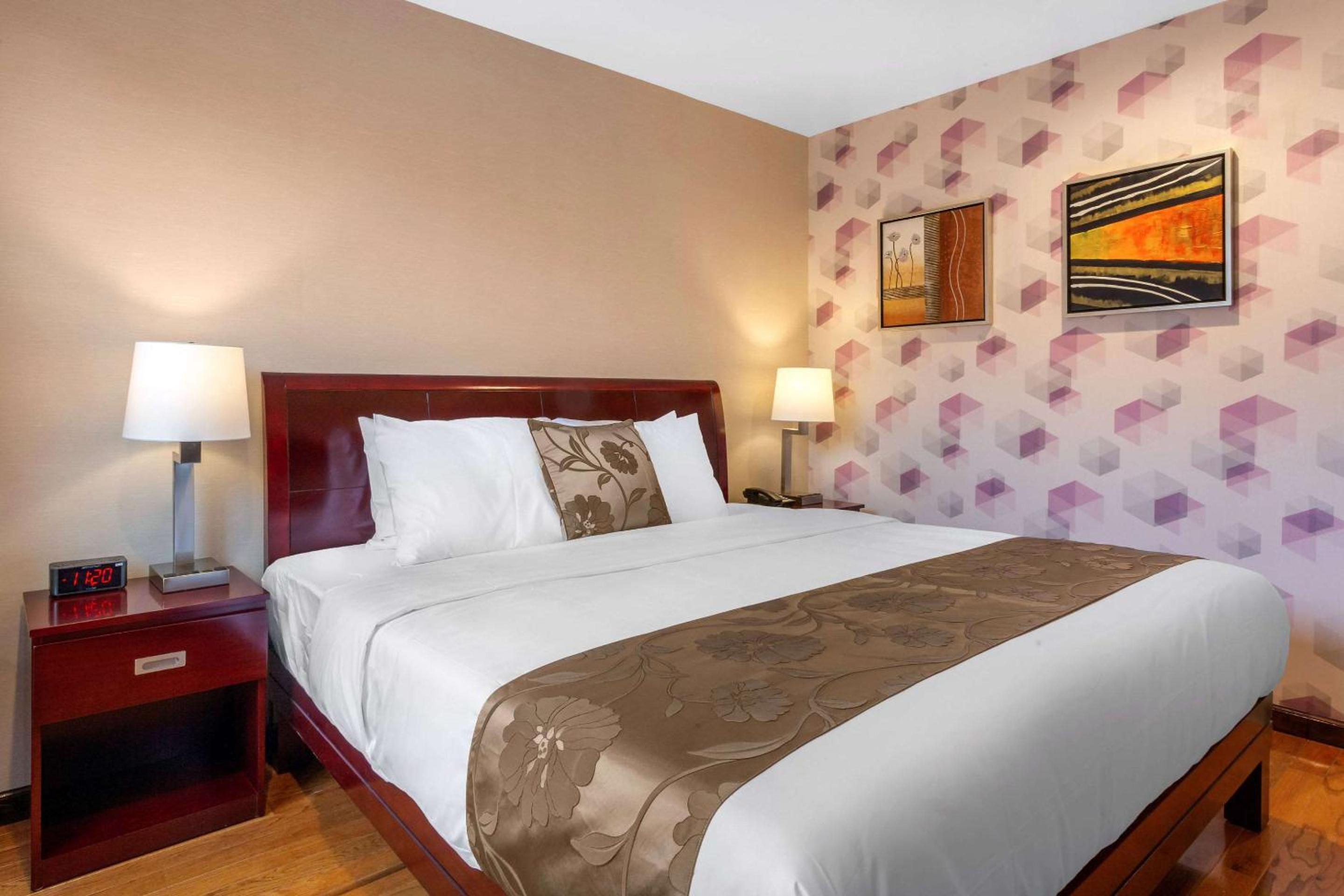 King Room - Accessible/Non-Smoking - Photo 5