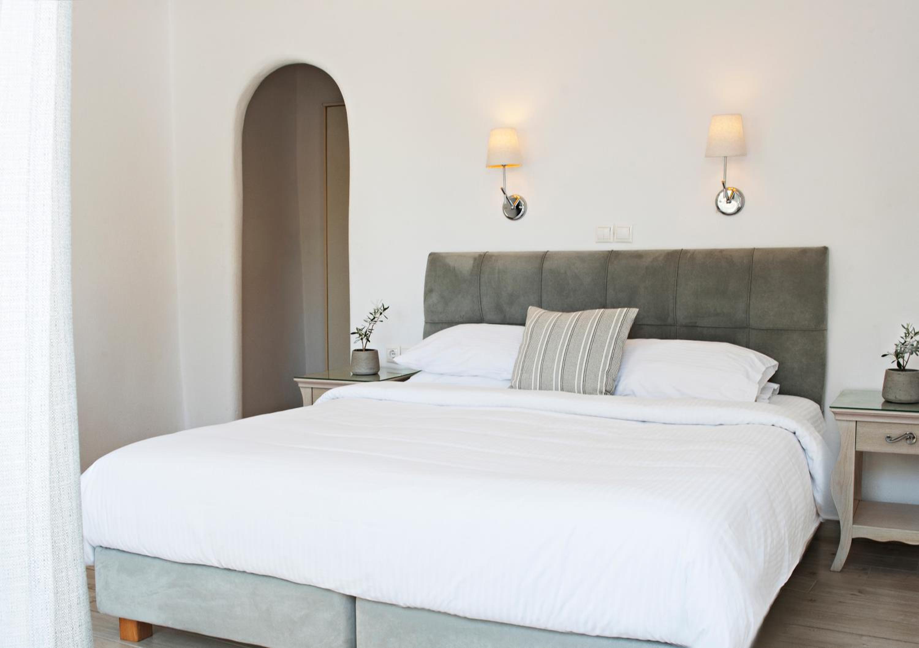 Deluxe Double or Twin Room photo 2