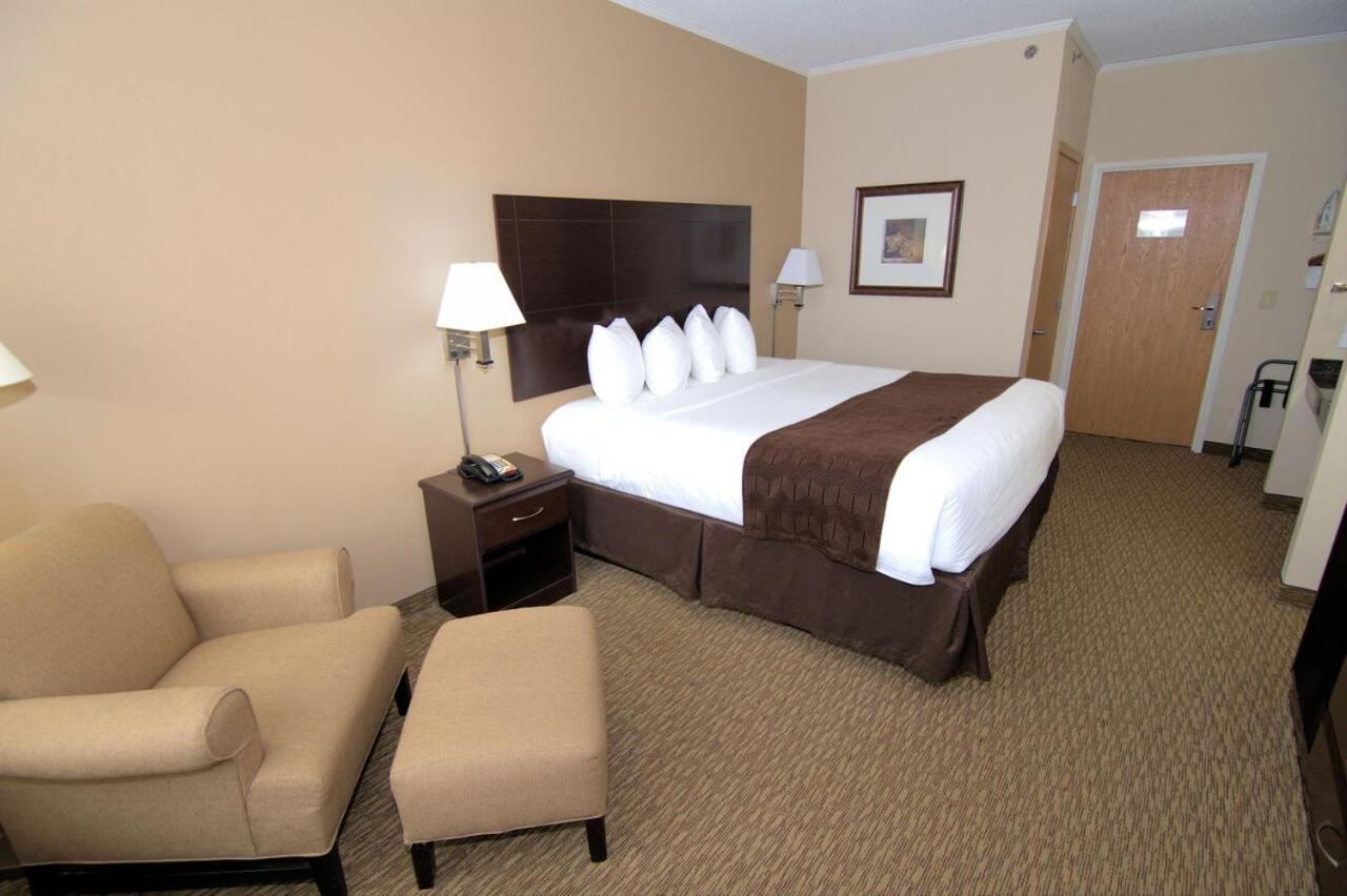King Room photo 3