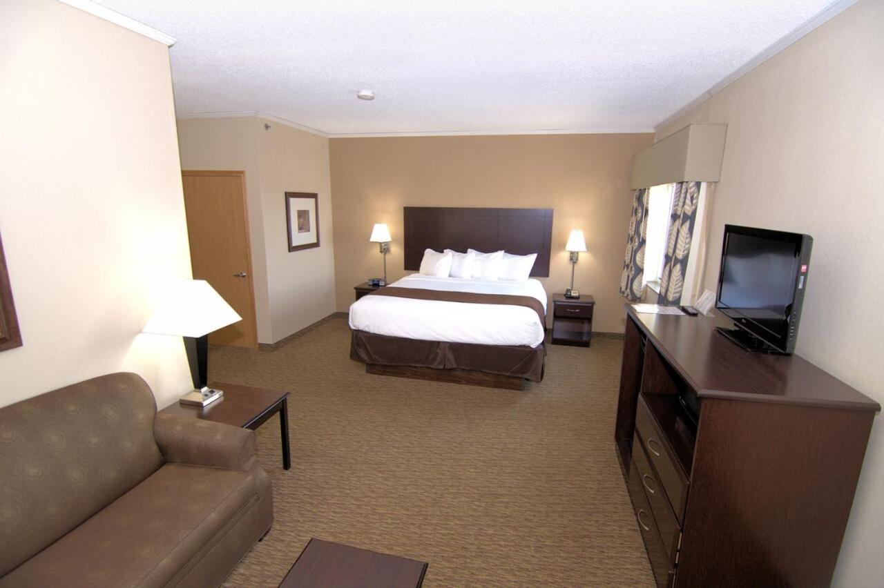 Standard King Suite