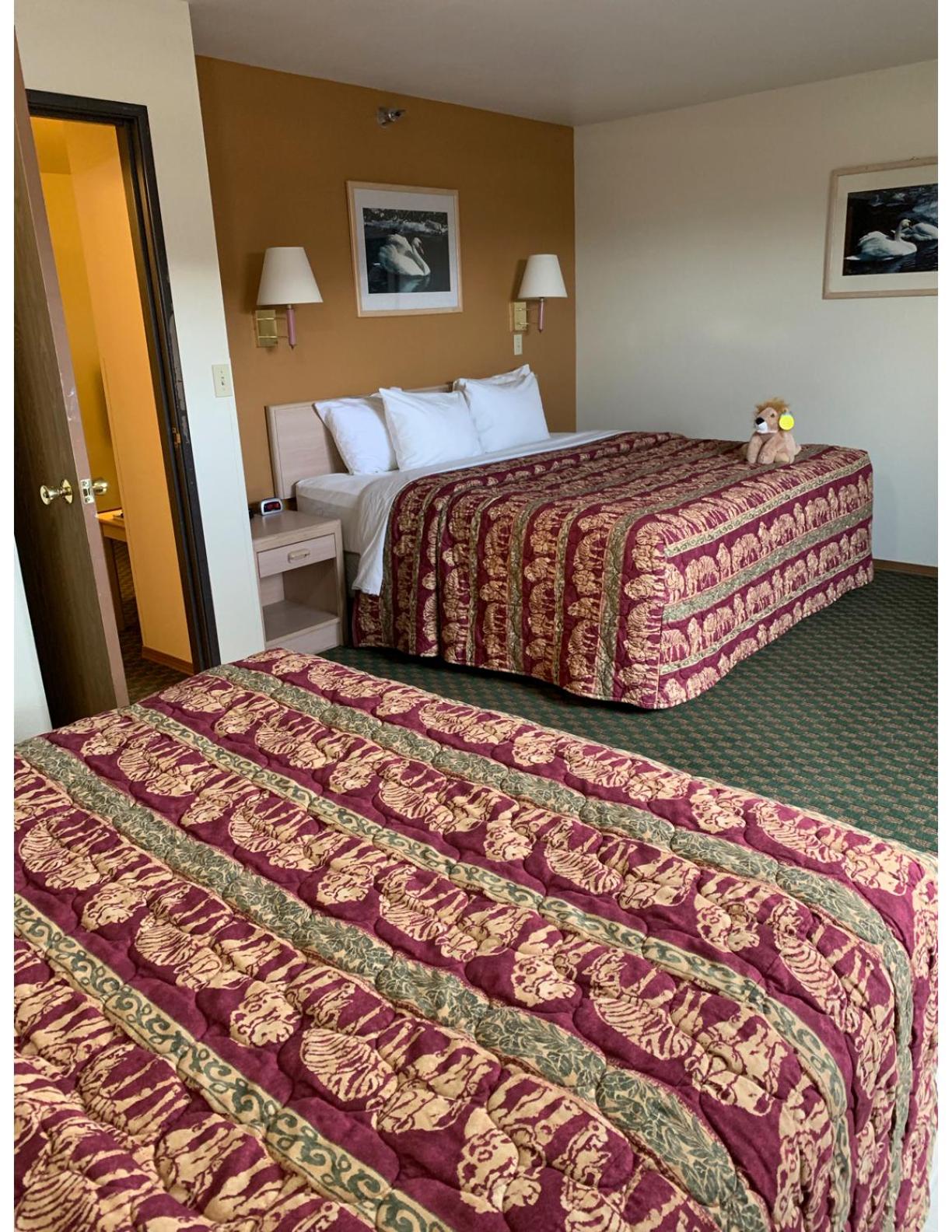 One Bedroom Suite  - Photo 10