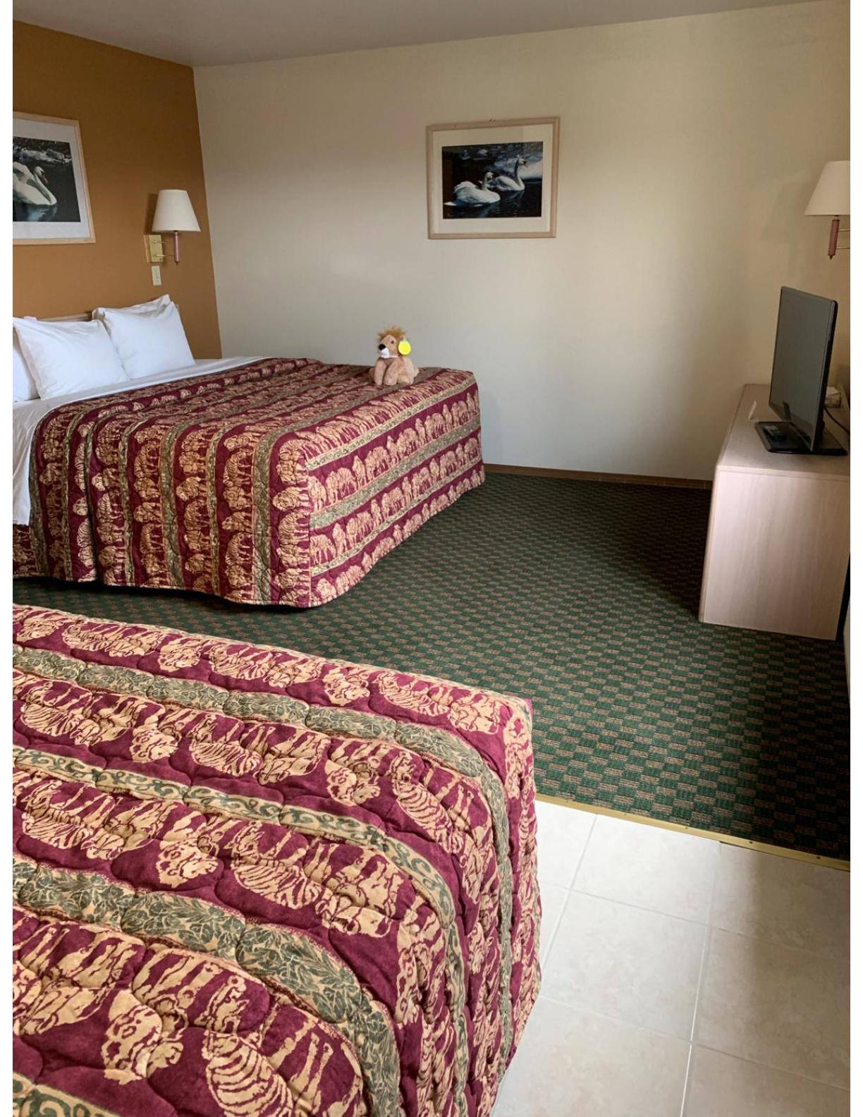 One Bedroom Suite  - Photo 11