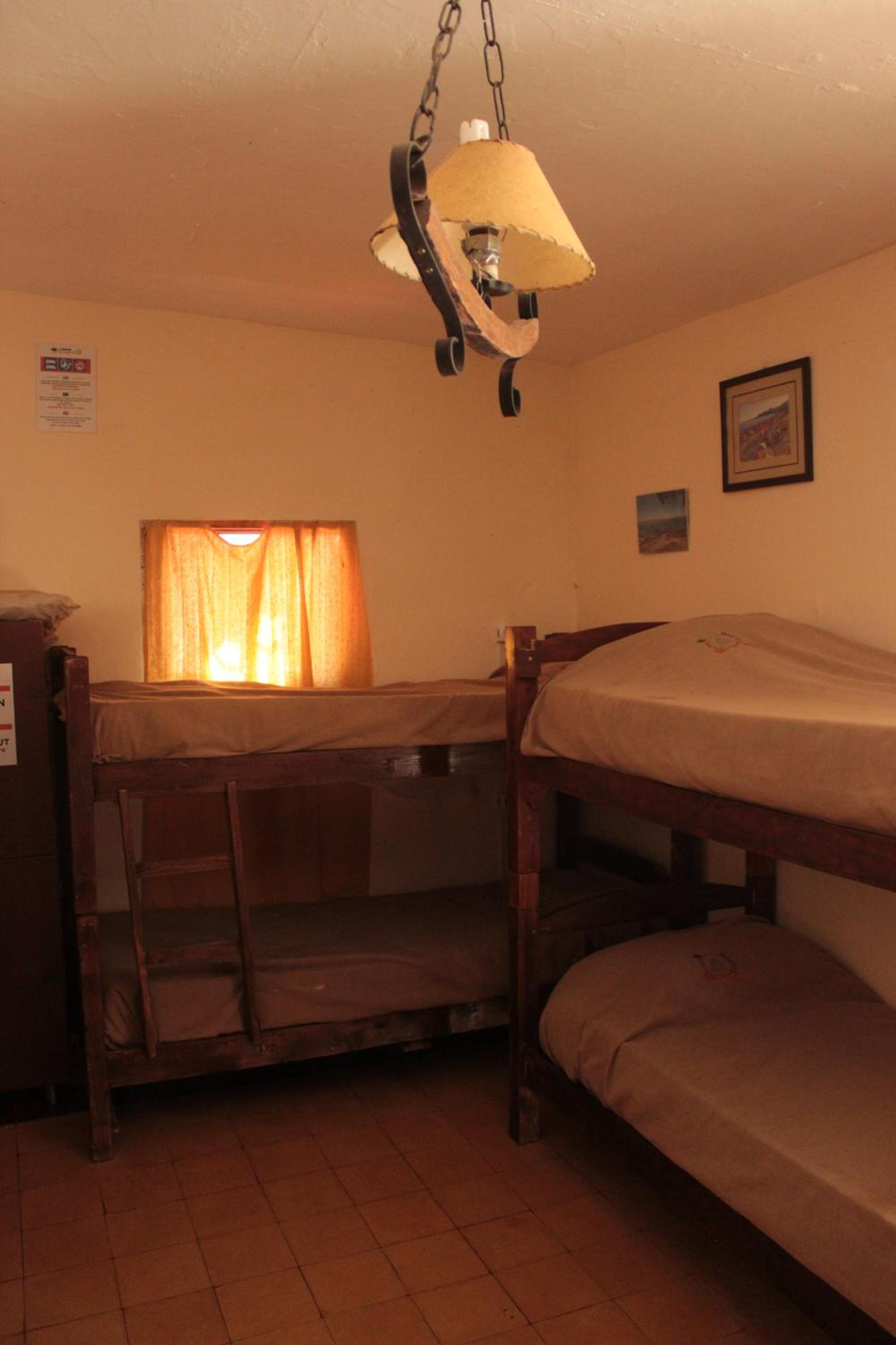 Single Bed in Mixed Dormitory Room photo 2