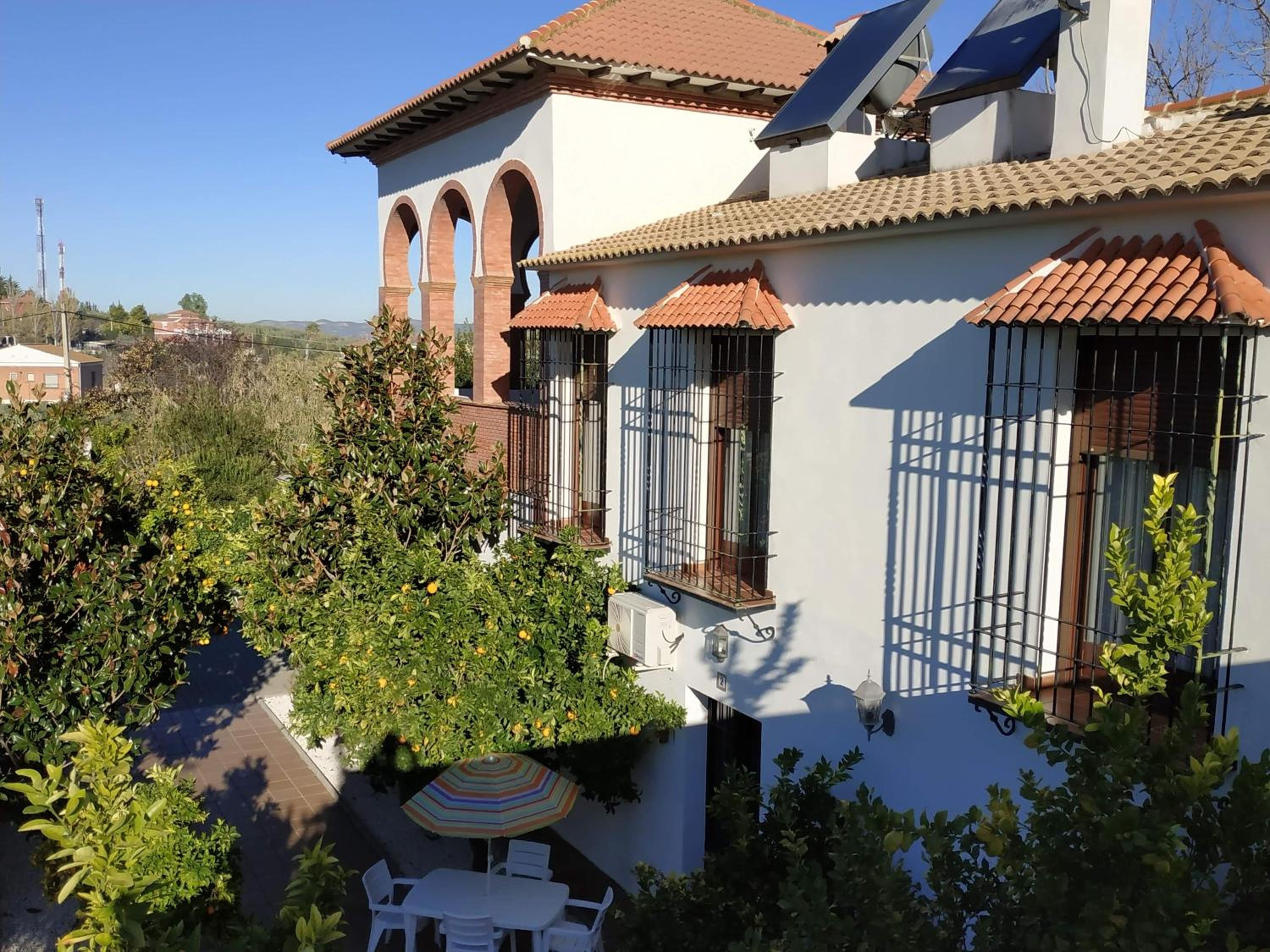 Apartment - Split Level photo 3