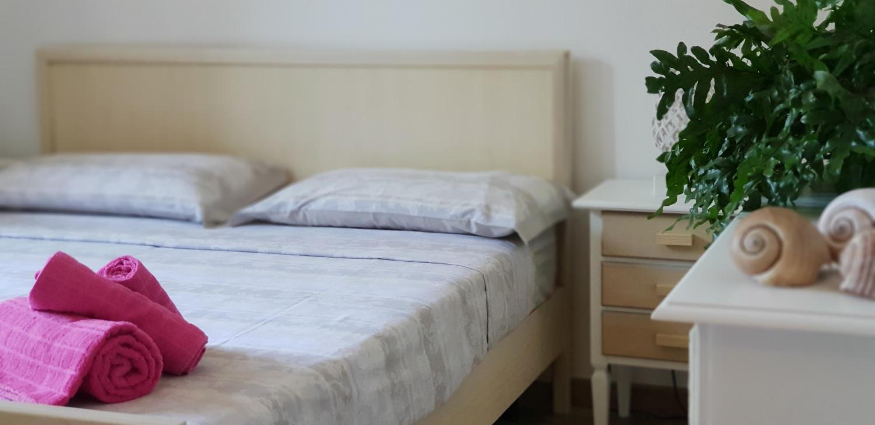 Basic Double Room