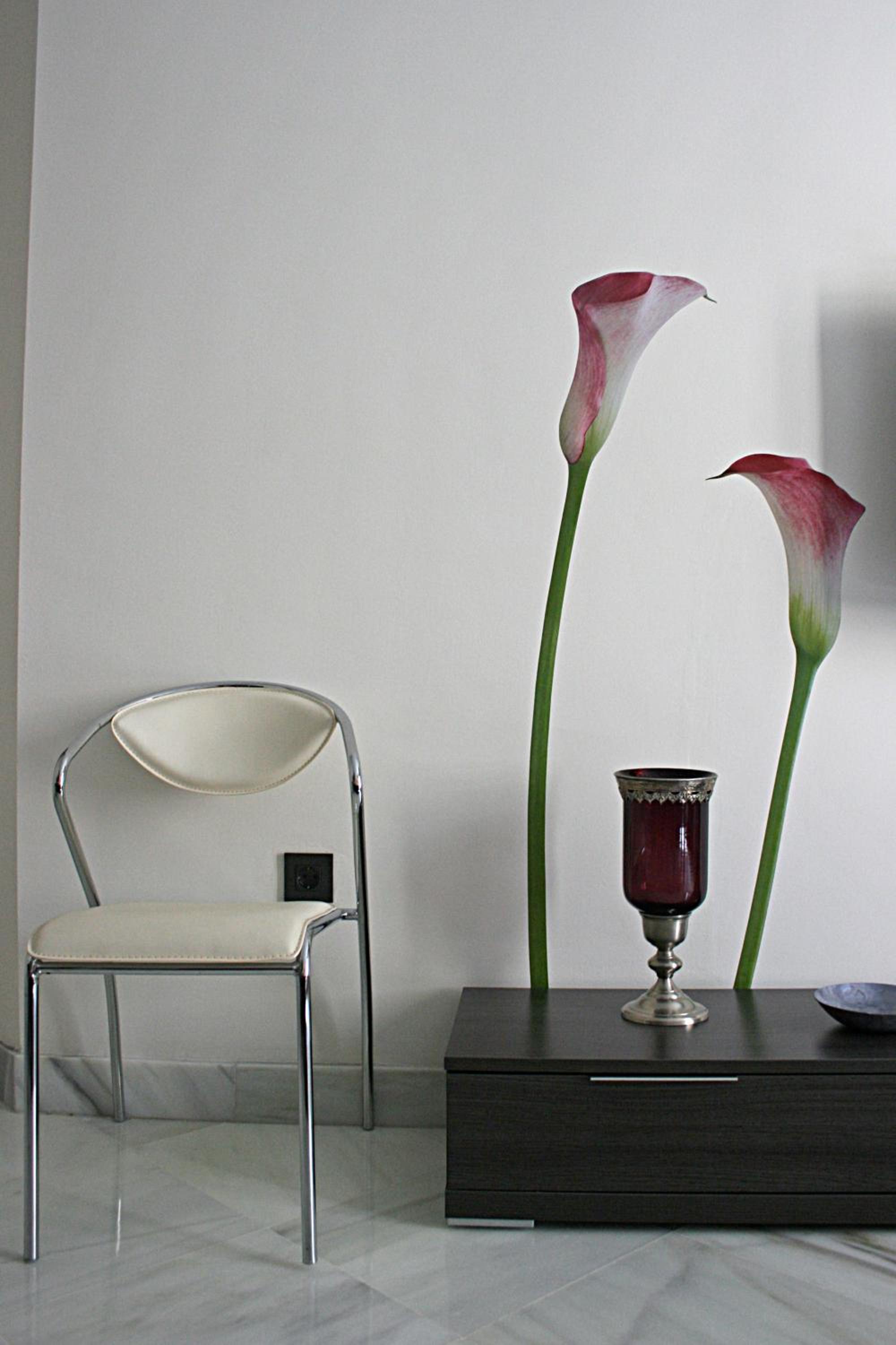 One-Bedroom Apartment (2 Adults) - Photo 19