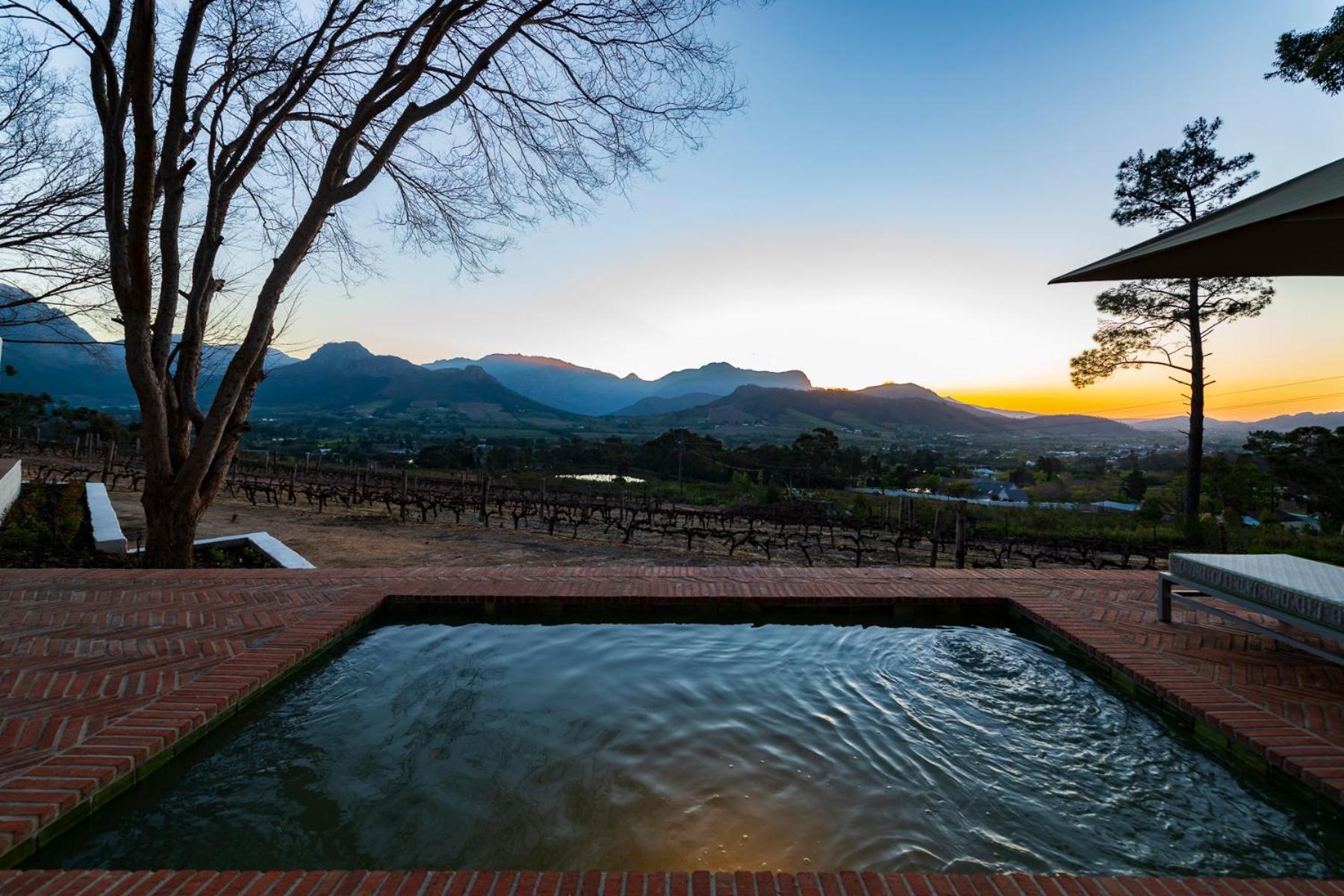 Deluxe Vineyard Suite - Moresque - Photo 4