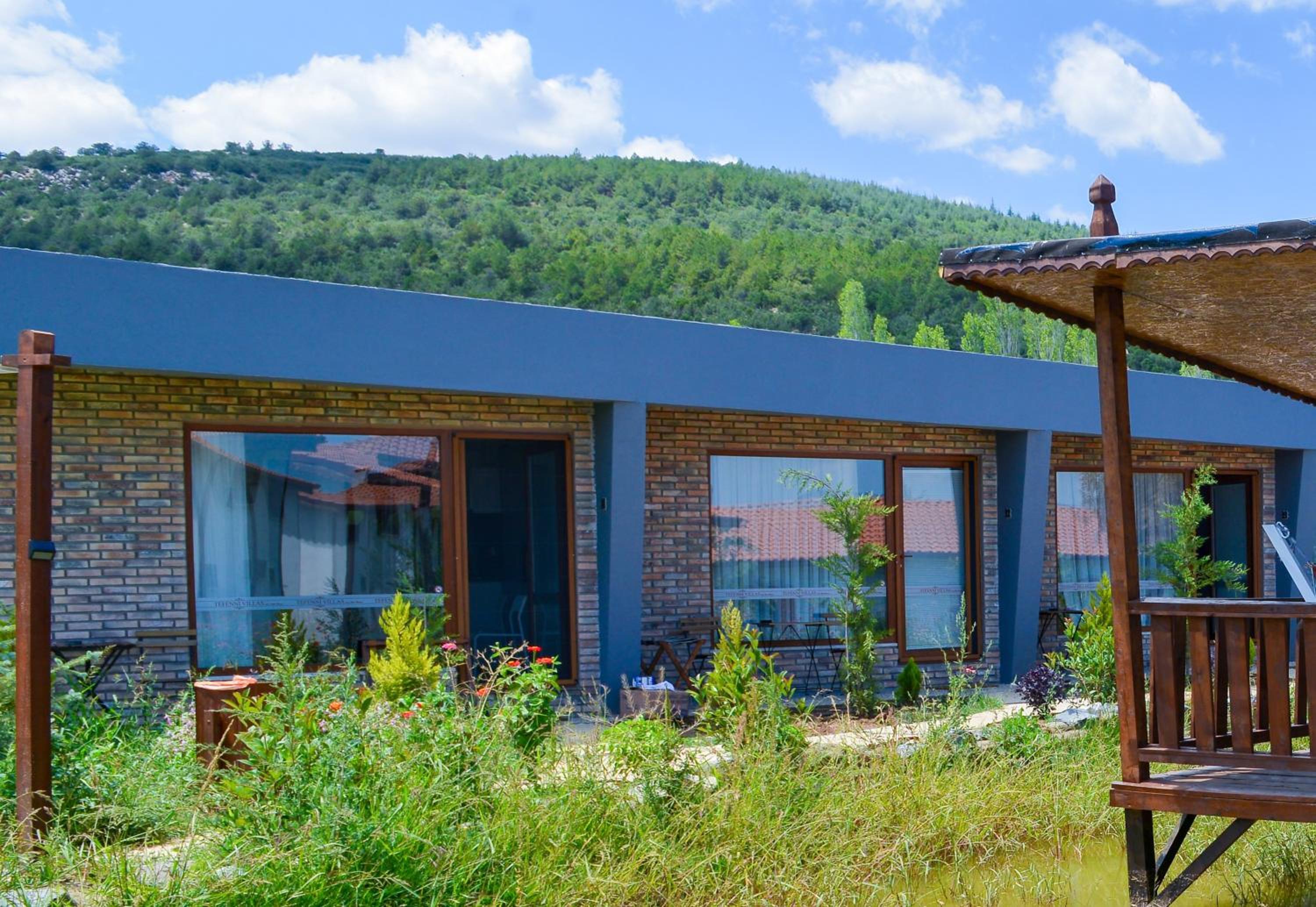 Standard Villa photo 2