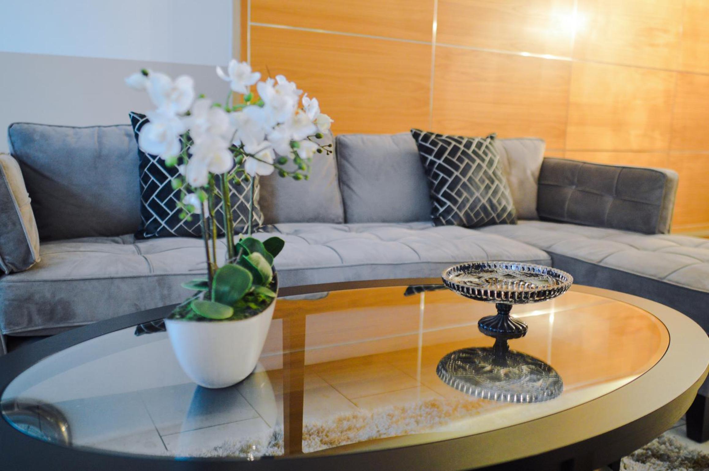 Superior 1 Bedroom Apartment - Photo 4