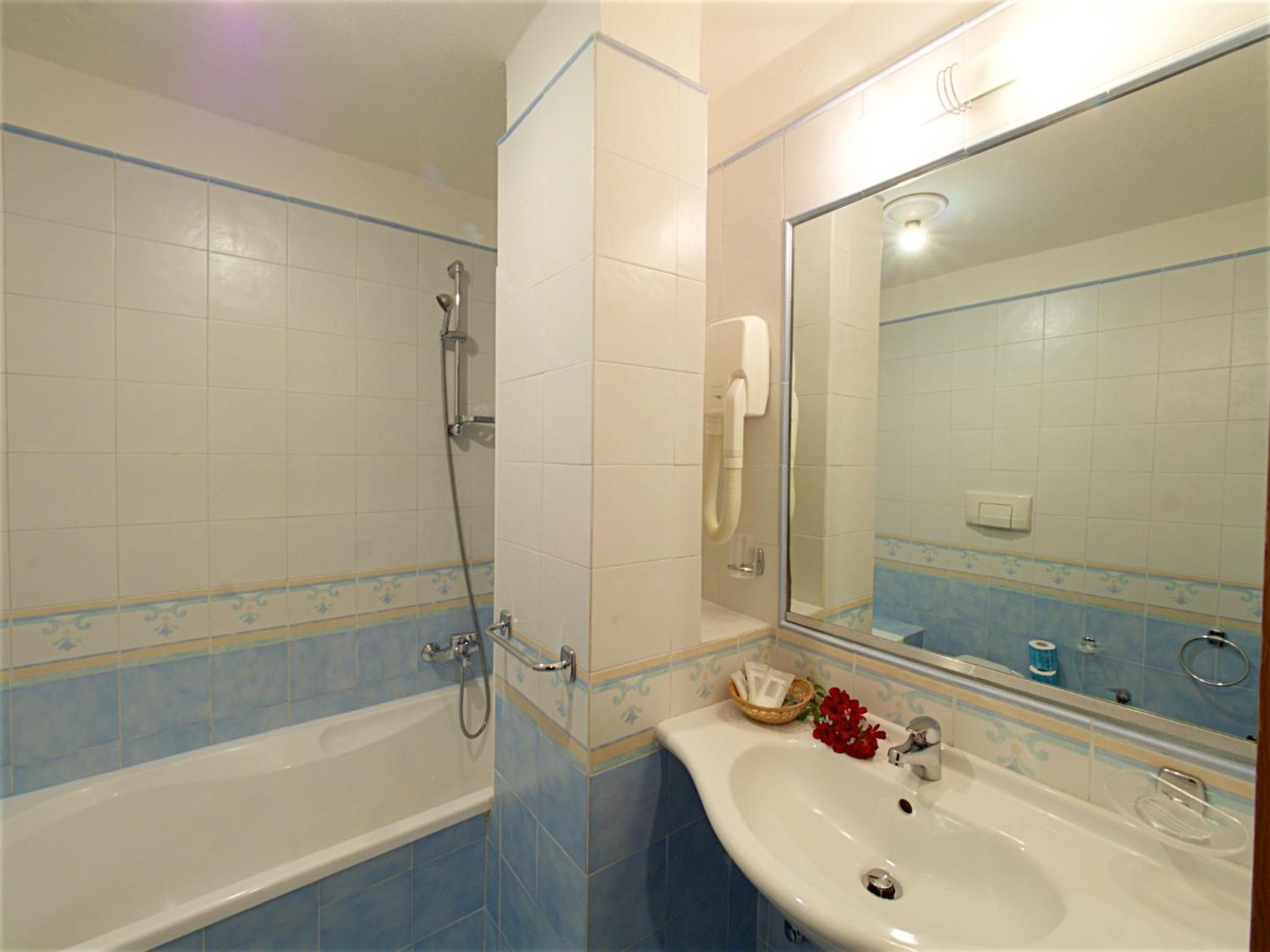 Classic One-Bedroom Apartment photo 2
