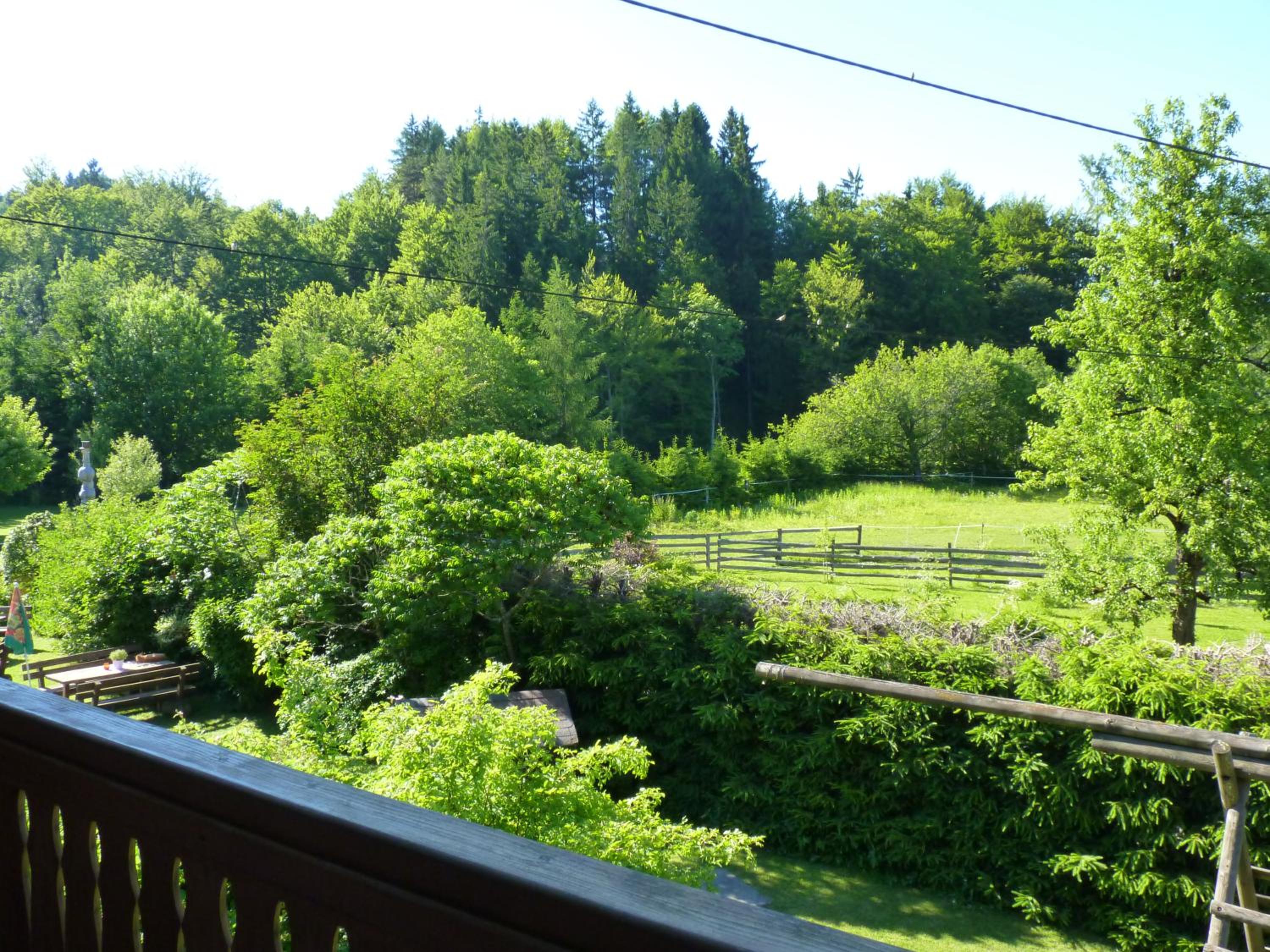 Two-Bedroom Apartment with Balcony - Photo 2