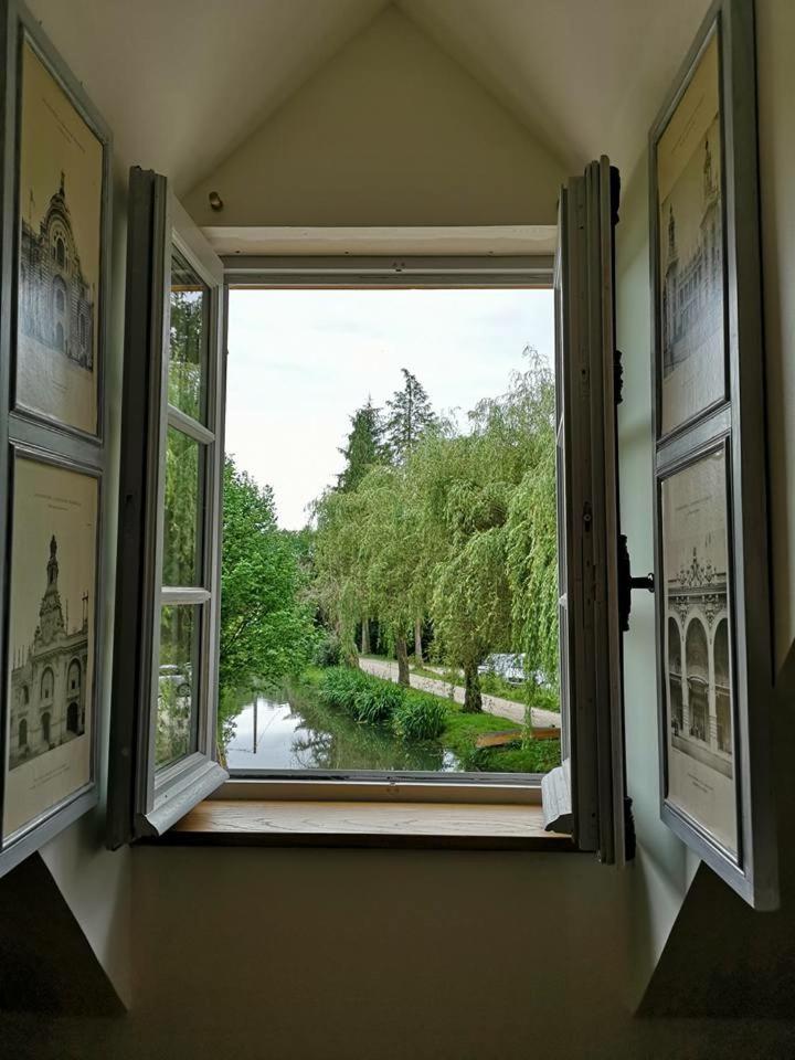 King Room with Garden View