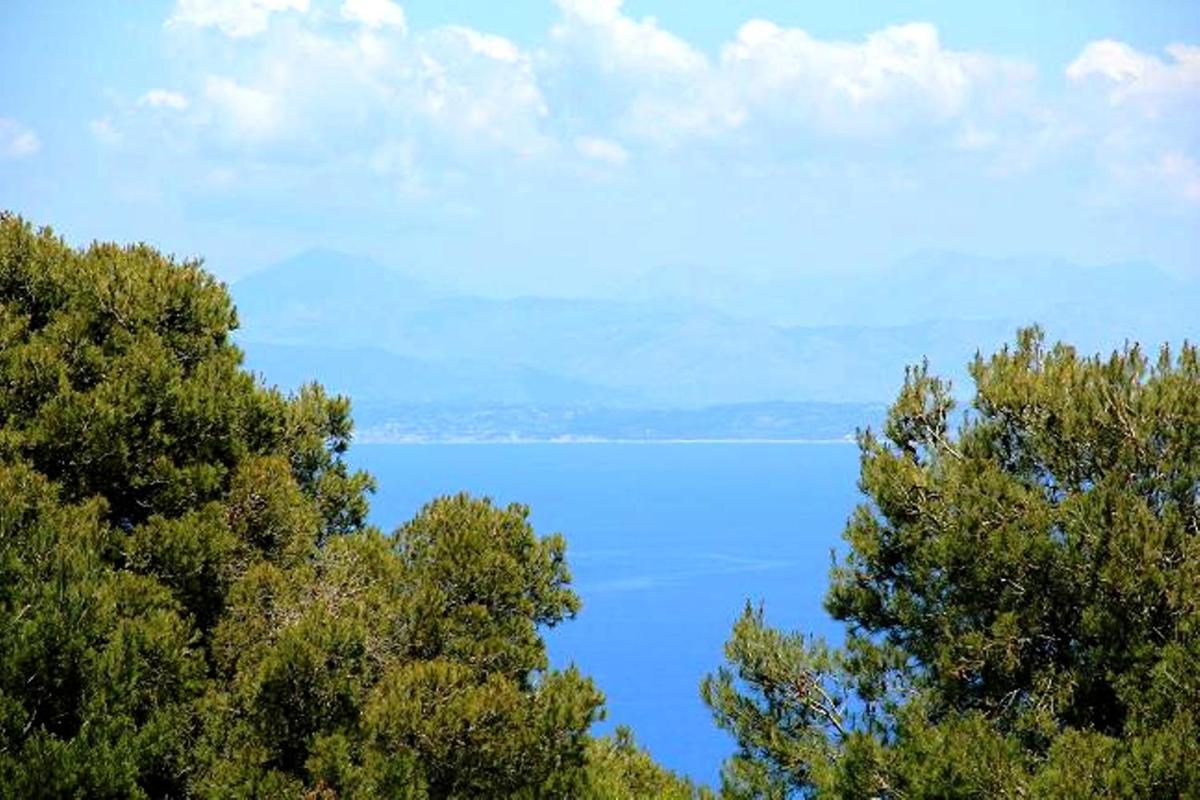 Villa with Sea View photo 3