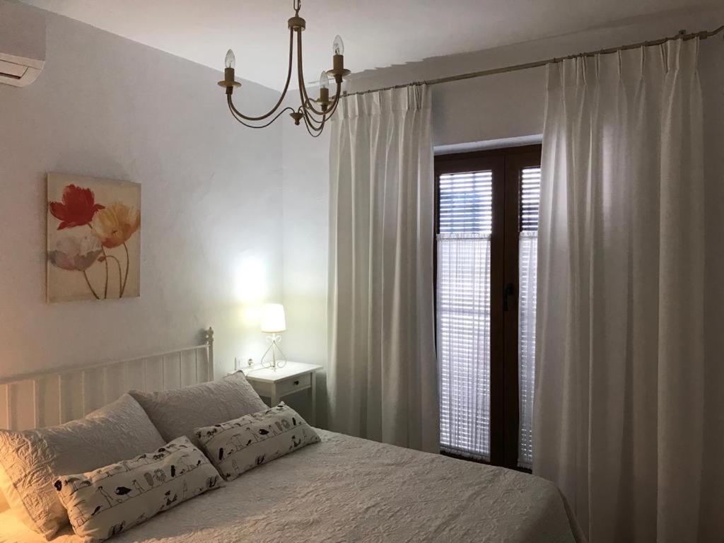 Apartamento - Planta Baja