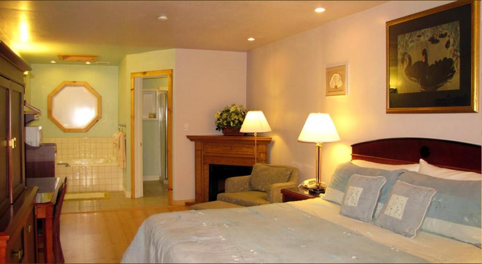 King Suite with Spa Bath - Photo 7