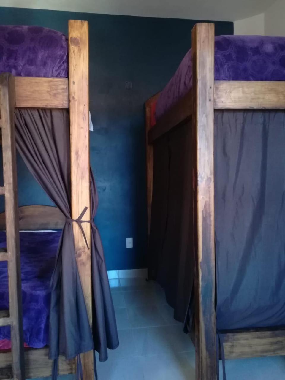 Bed in 6-Bed Mixed Dormitory Room photo 1