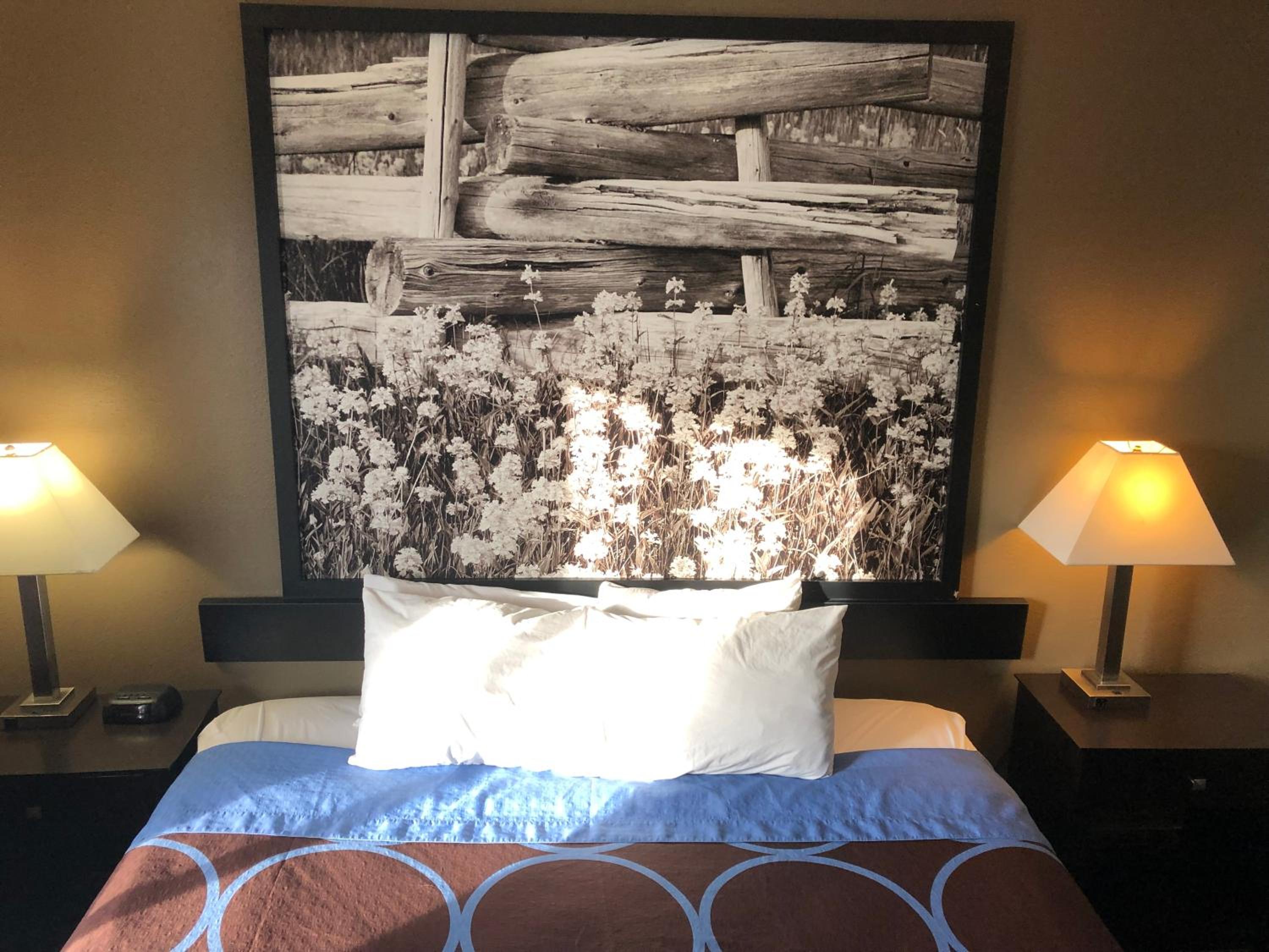 King Room- Non-Smoking - Photo 2