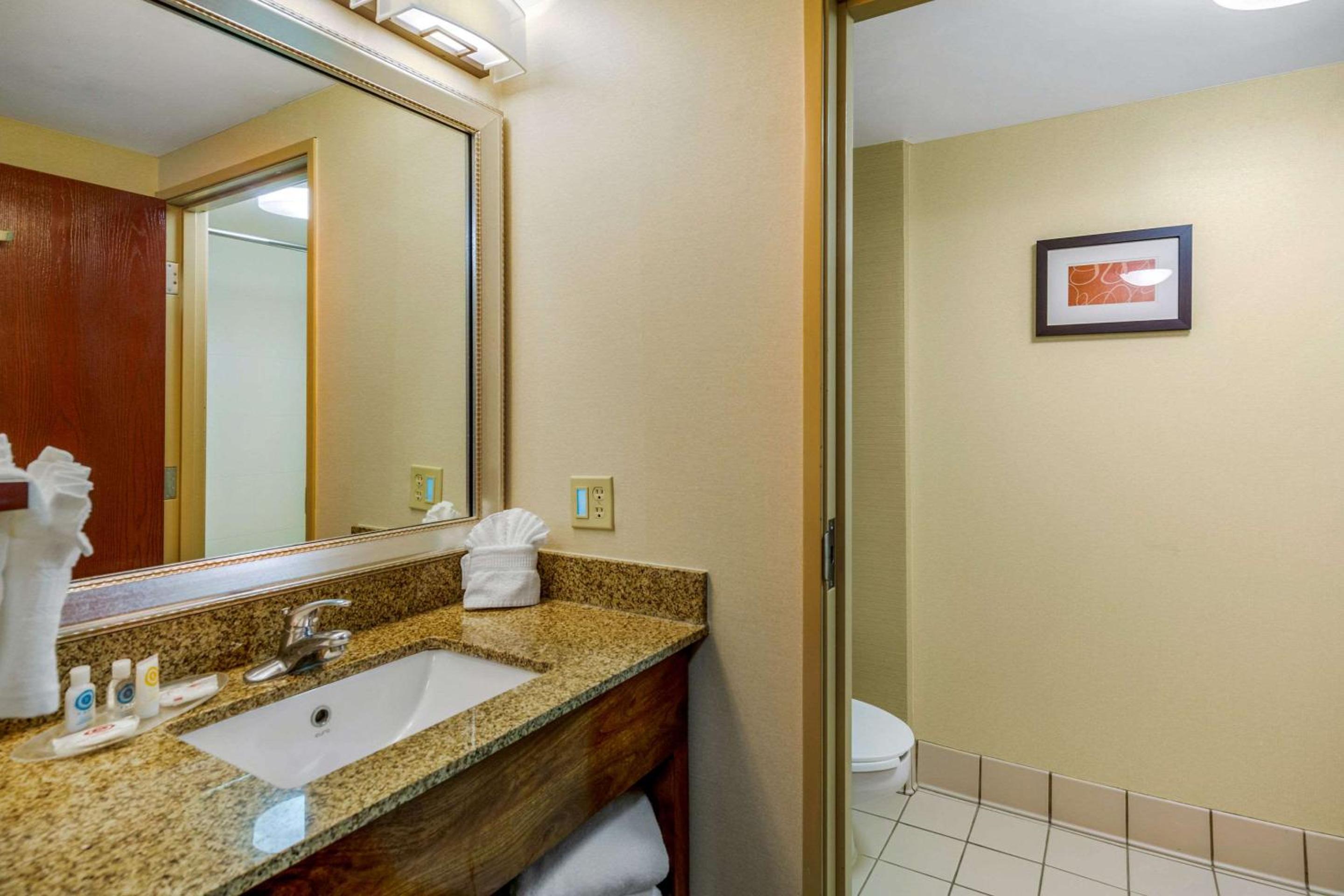 King Suite - Disability Access/Non-Smoking - Photo 6